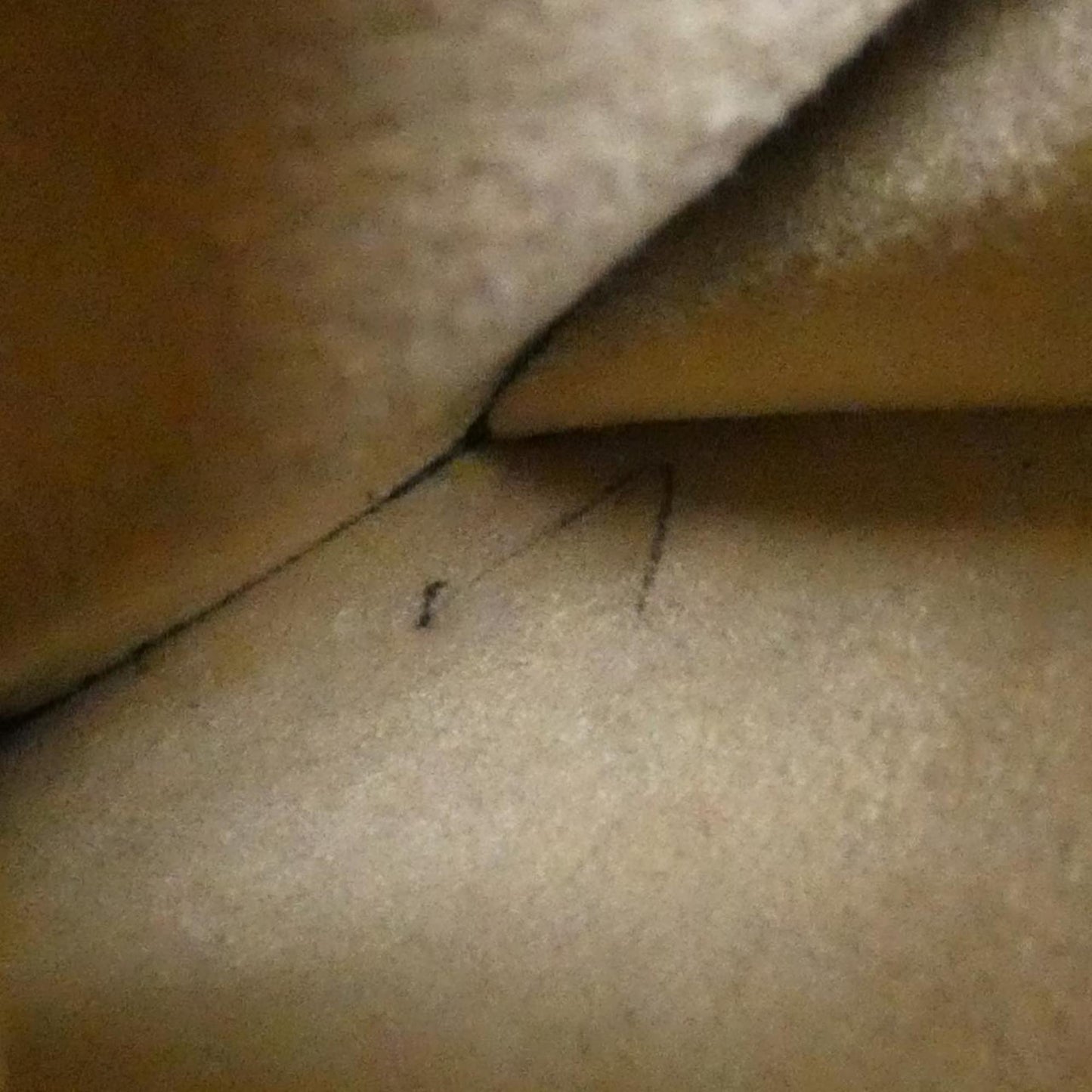 Louis Vuitton Monogram Looping Mm M51146 Shoulder Bag