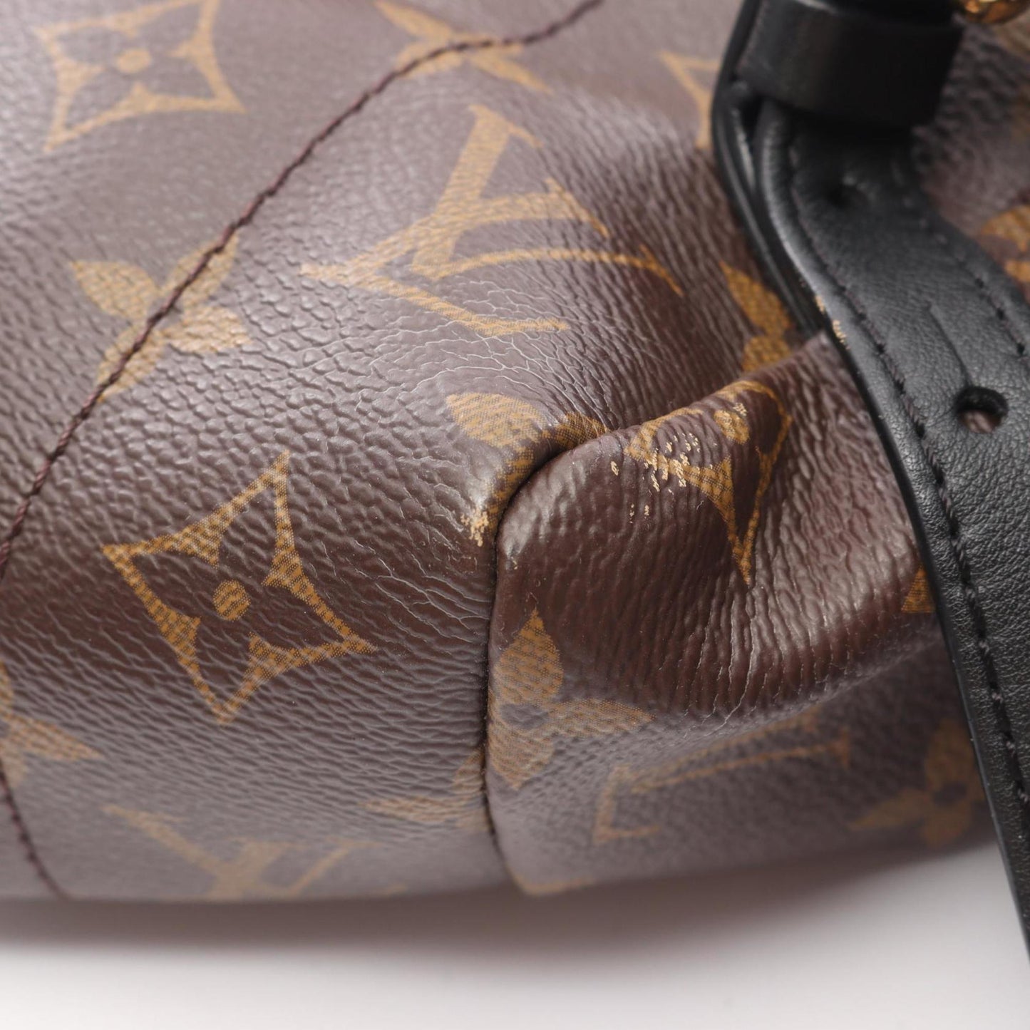 Louis Vuitton Palm Springs Backpack Mm