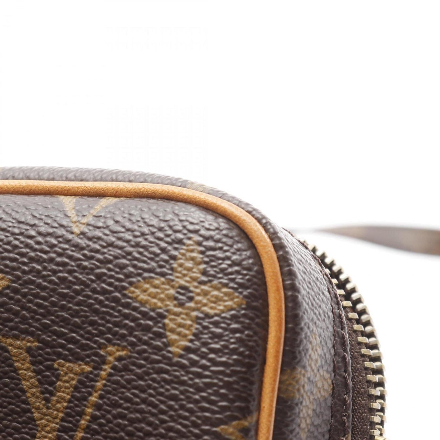 Louis Vuitton Amazon Shoulder Bag