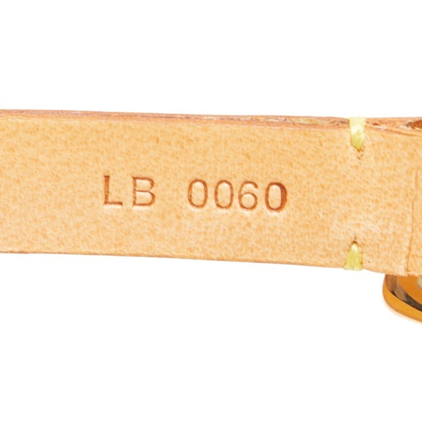 Louis Vuitton Monogram Florentine Pochette Shoulder Strap