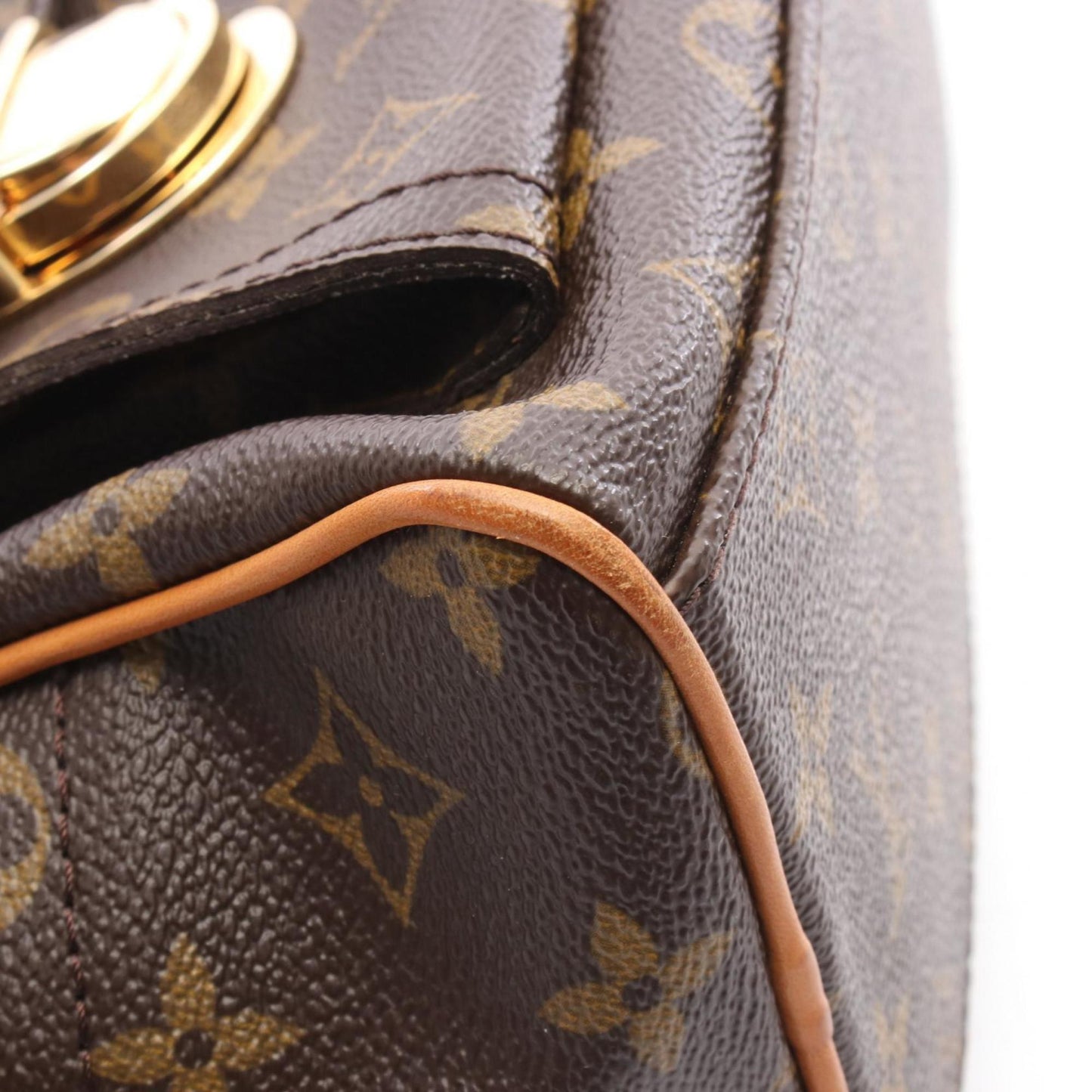 Louis Vuitton Manhattan Gm Handbag