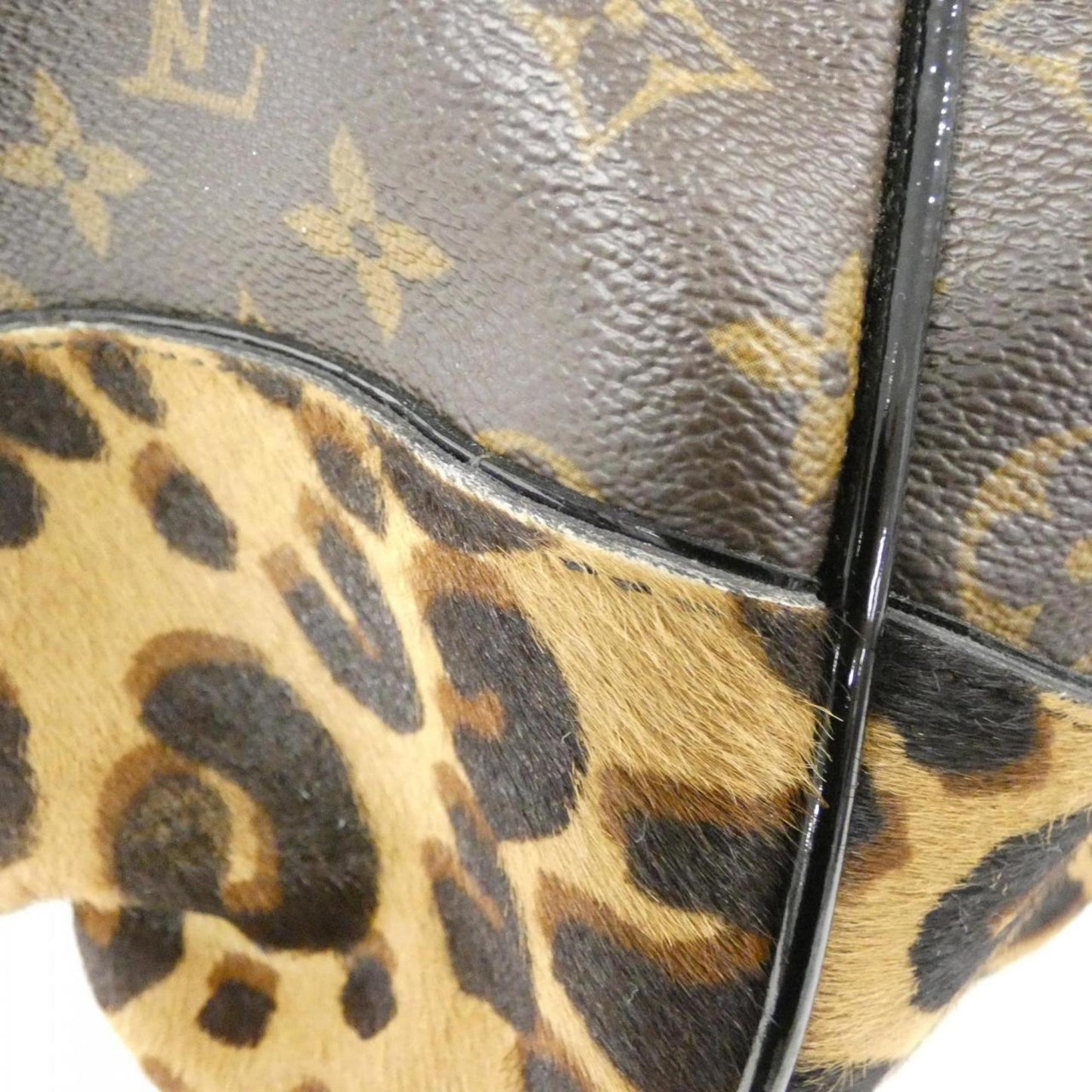 Louis Vuitton Monogram Leopard Polly M95282 Shoulder Bag