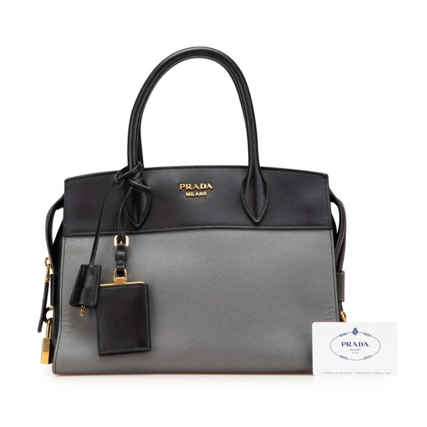 Prada Esplanade Two-Tone Handbag 1Ba046 In Black