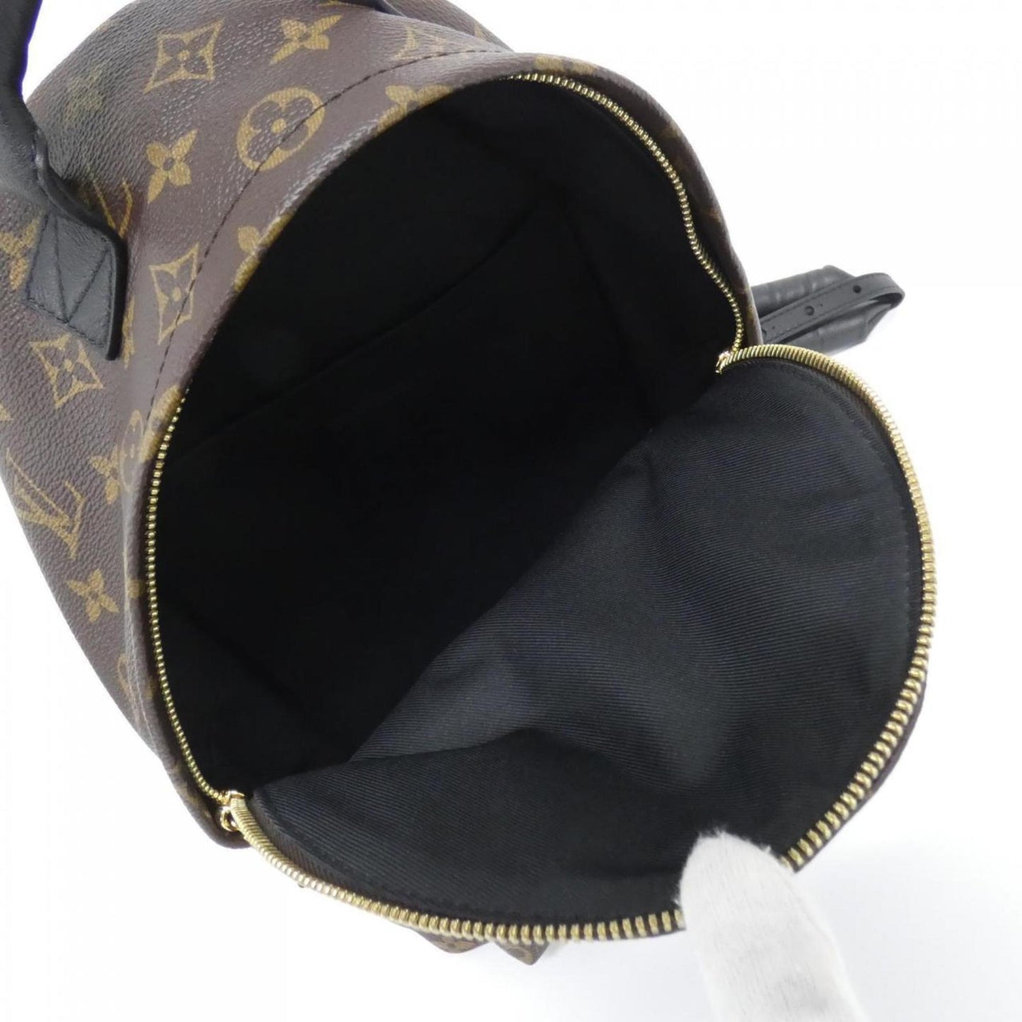 Louis Vuitton Monogram Palm Springs Backpack Pm M44871