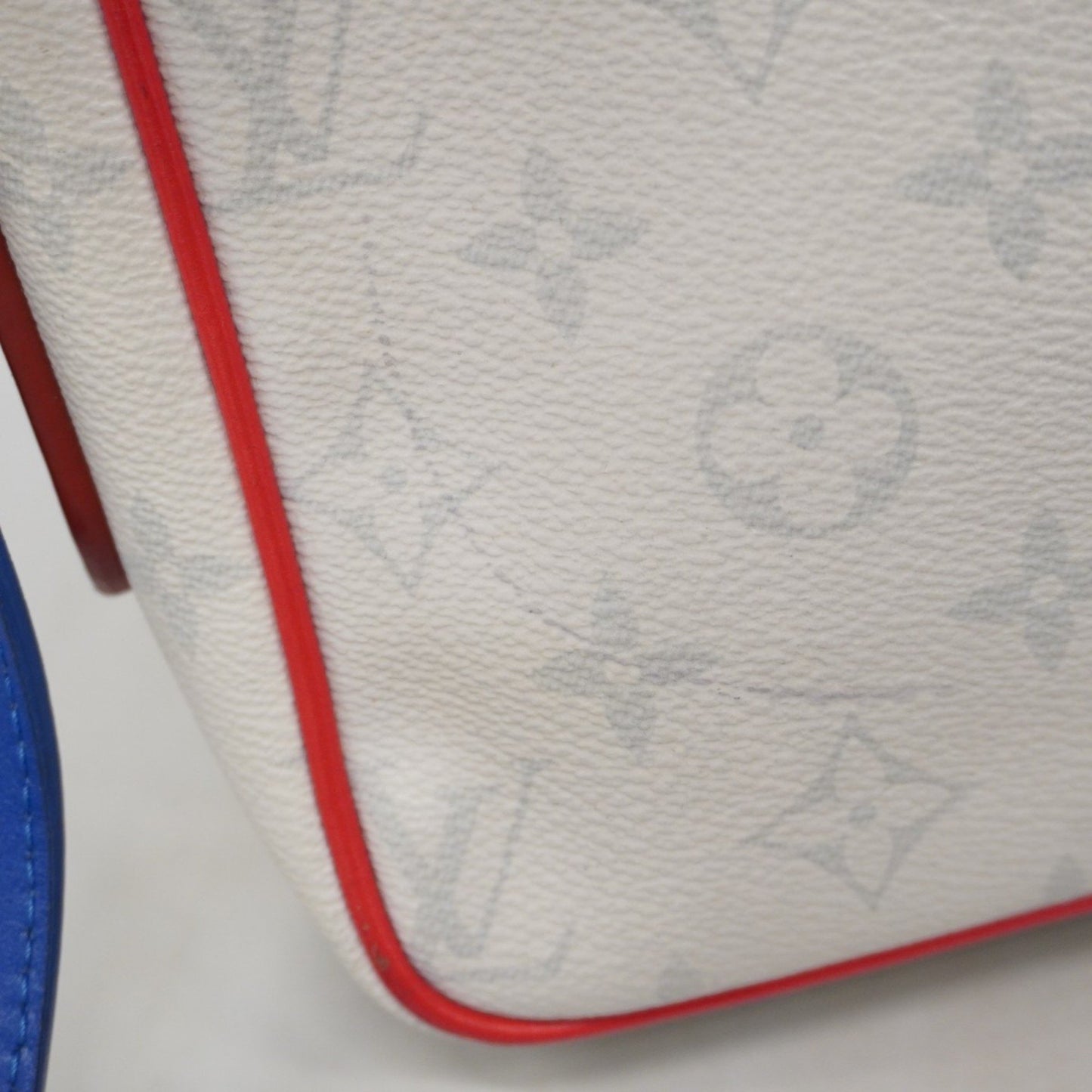 Louis Vuitton Antarctica