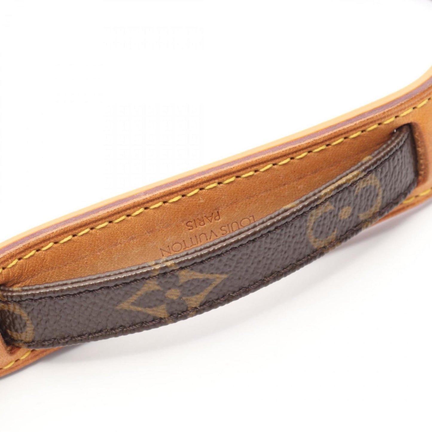 Louis Vuitton Amazon Shoulder Bag