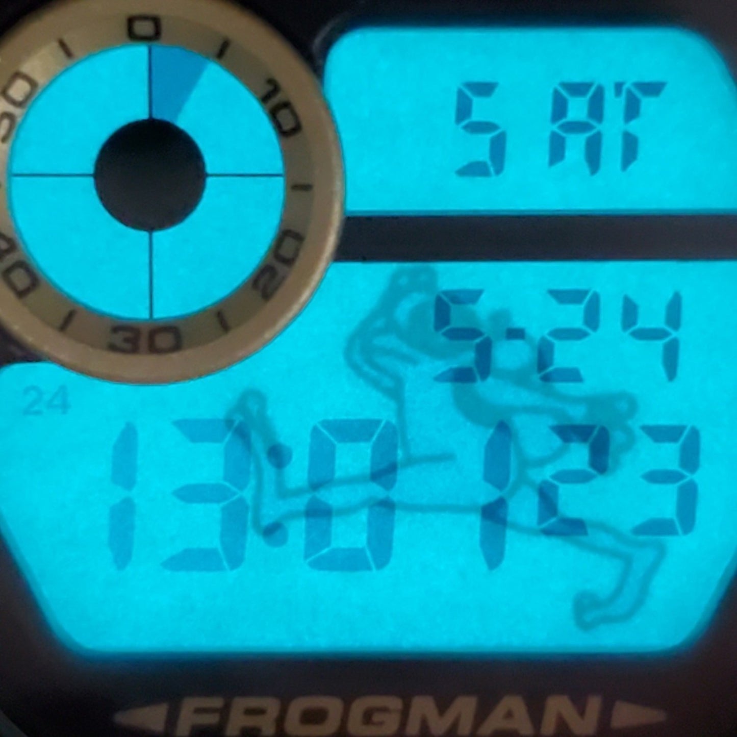 G-Shock Casio Watch Dw-8200Bm-1T Frogman