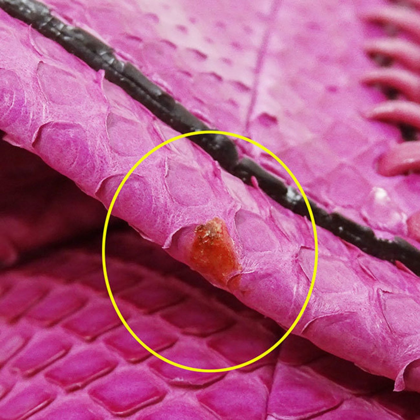 Salvatore Ferragamo Ferragamo