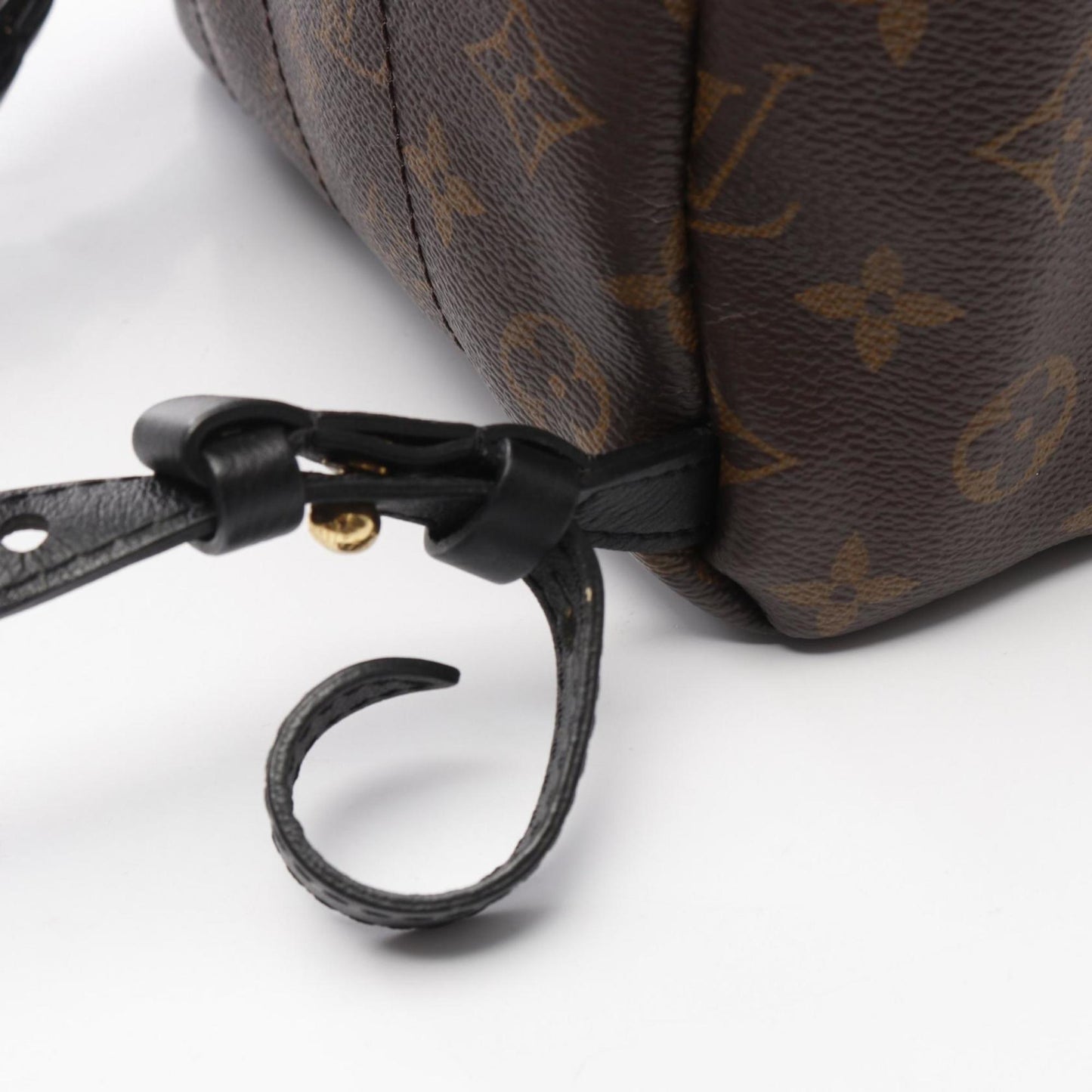 Louis Vuitton Palm Springs Backpack Pm Rucksack Coated Canvas Leather Monogram