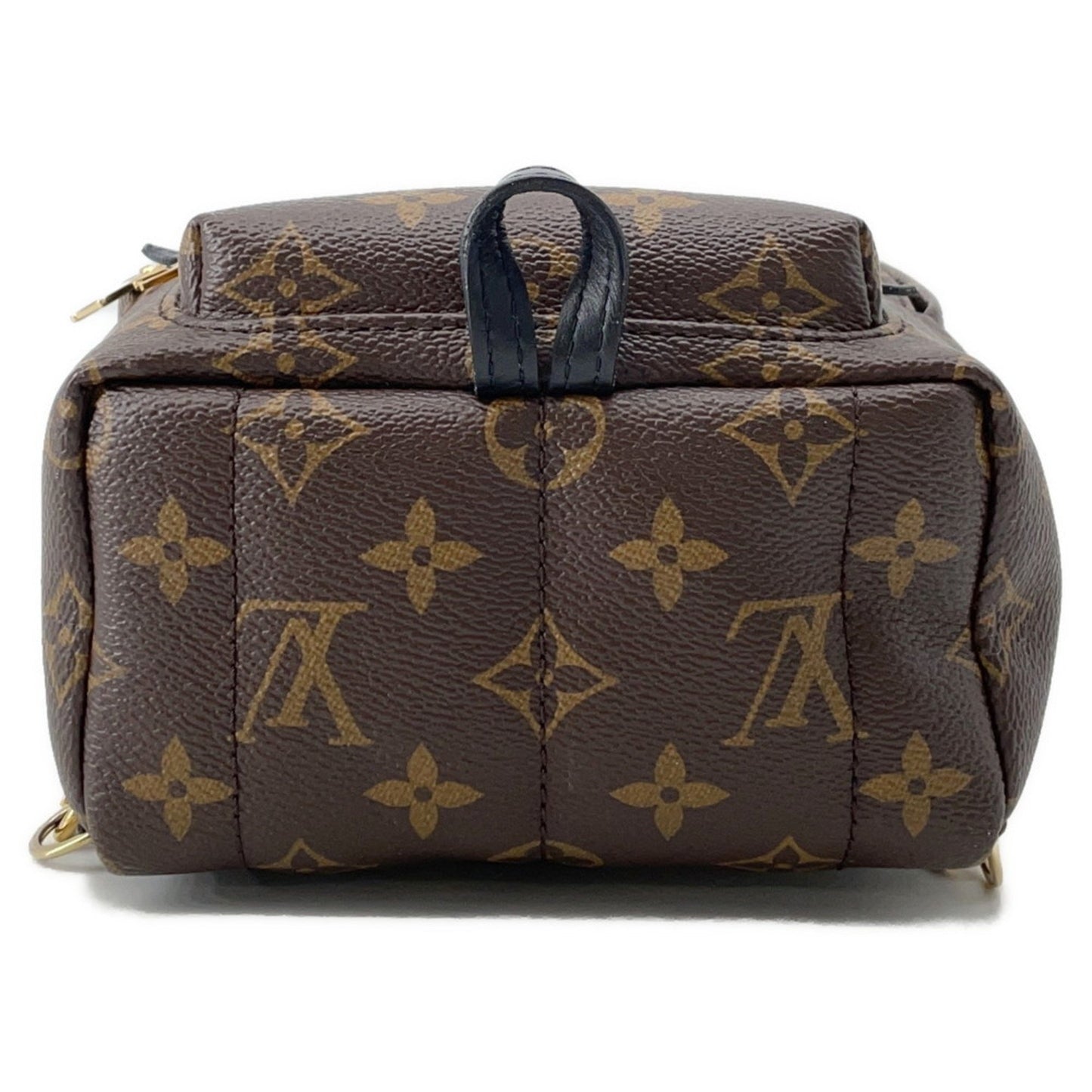 Louis Vuitton Monogram Palm Springs Backpack Mini M44873 Louis Vuitton