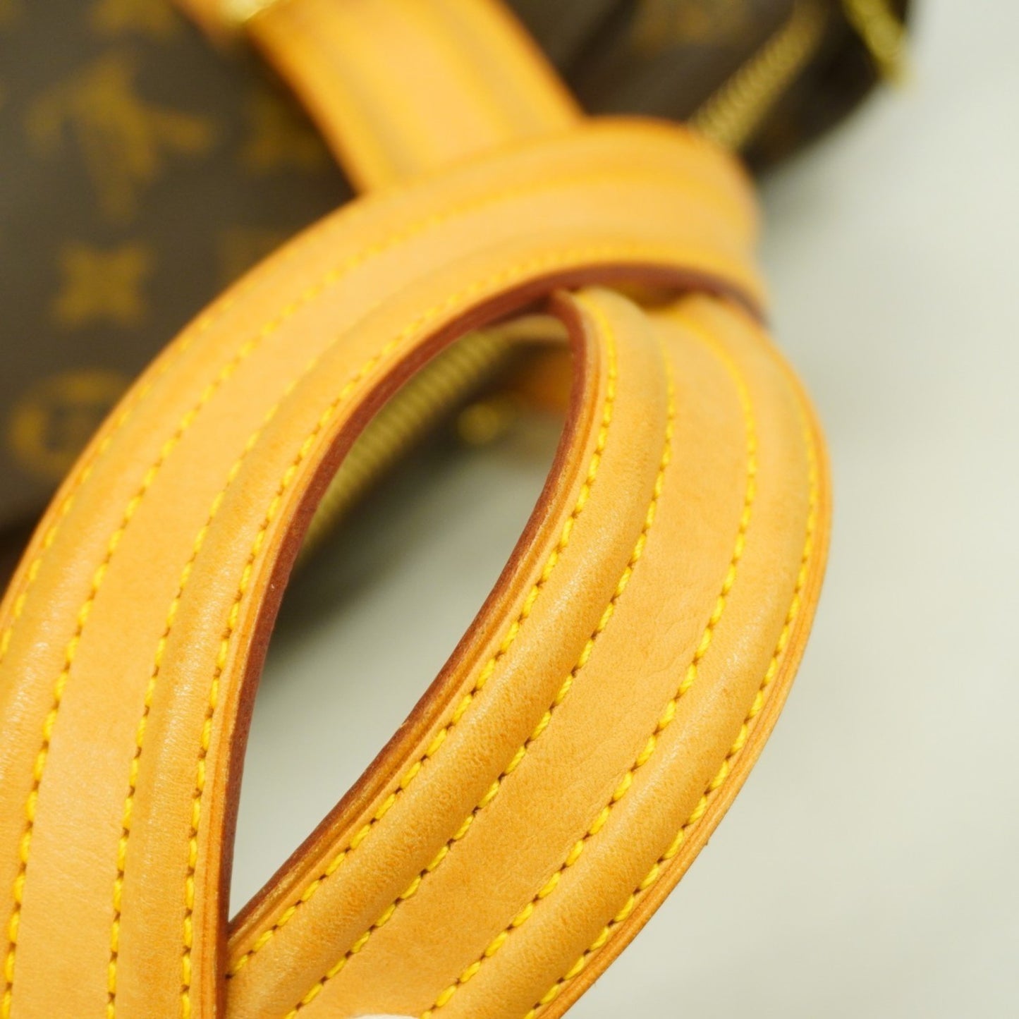 Louis Vuitton Monogram Multiplicite Tote Bag M51162 Brown