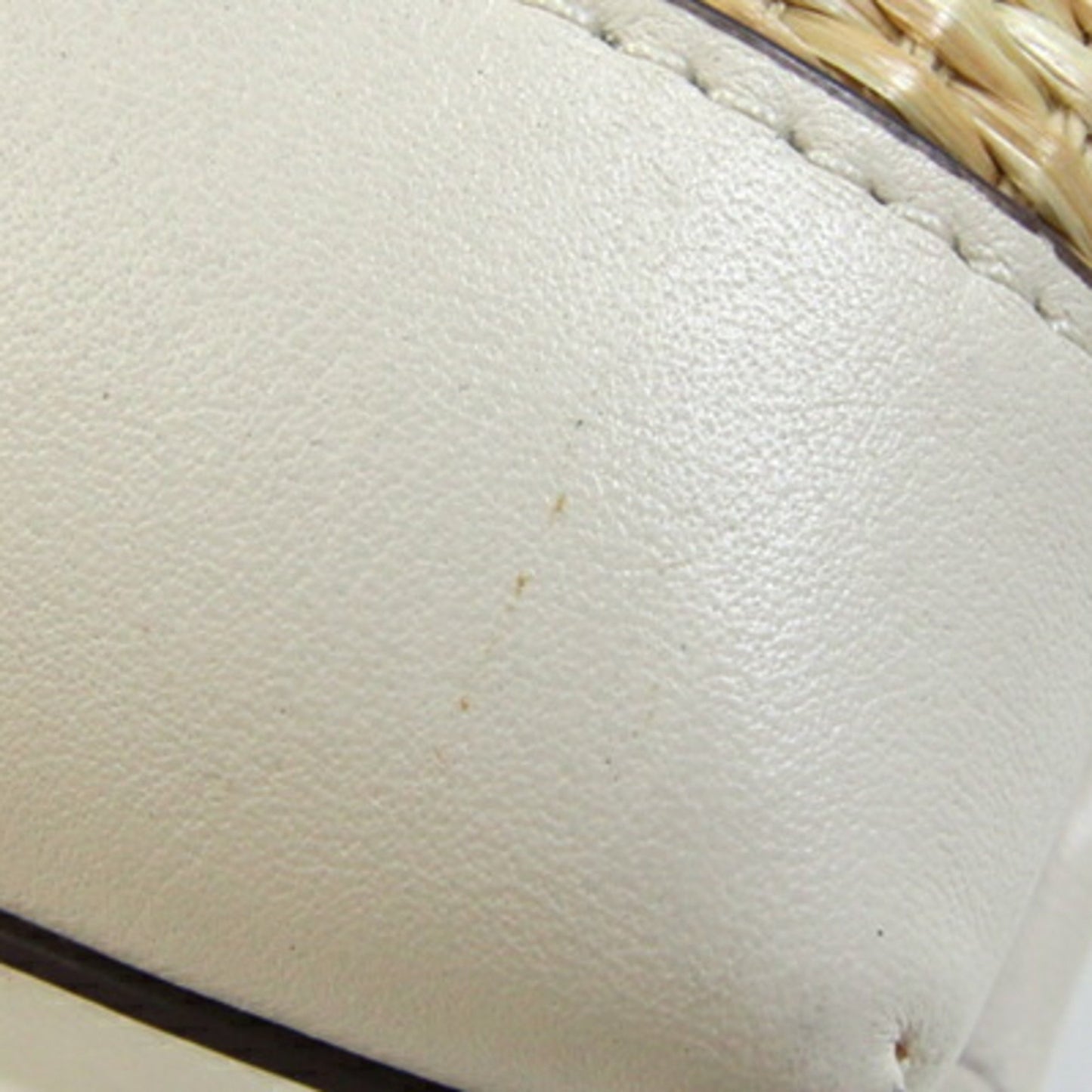 Coach Mori Tote 25 Handbag Cj574 Natural Ivory Brown Straw Leather Shoulder Bag Basket Floral Mini