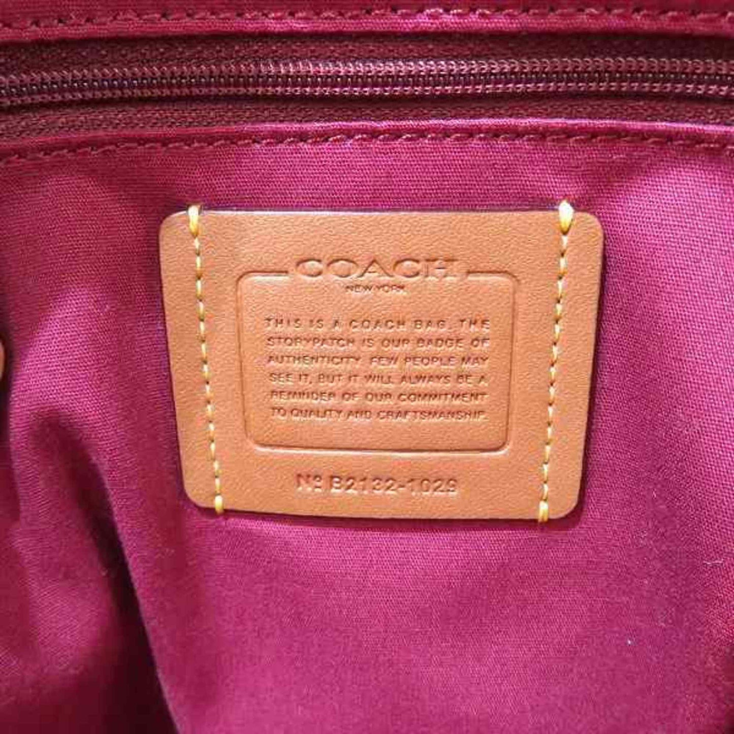 Coach Signature Carry Backpack 1029 Bag