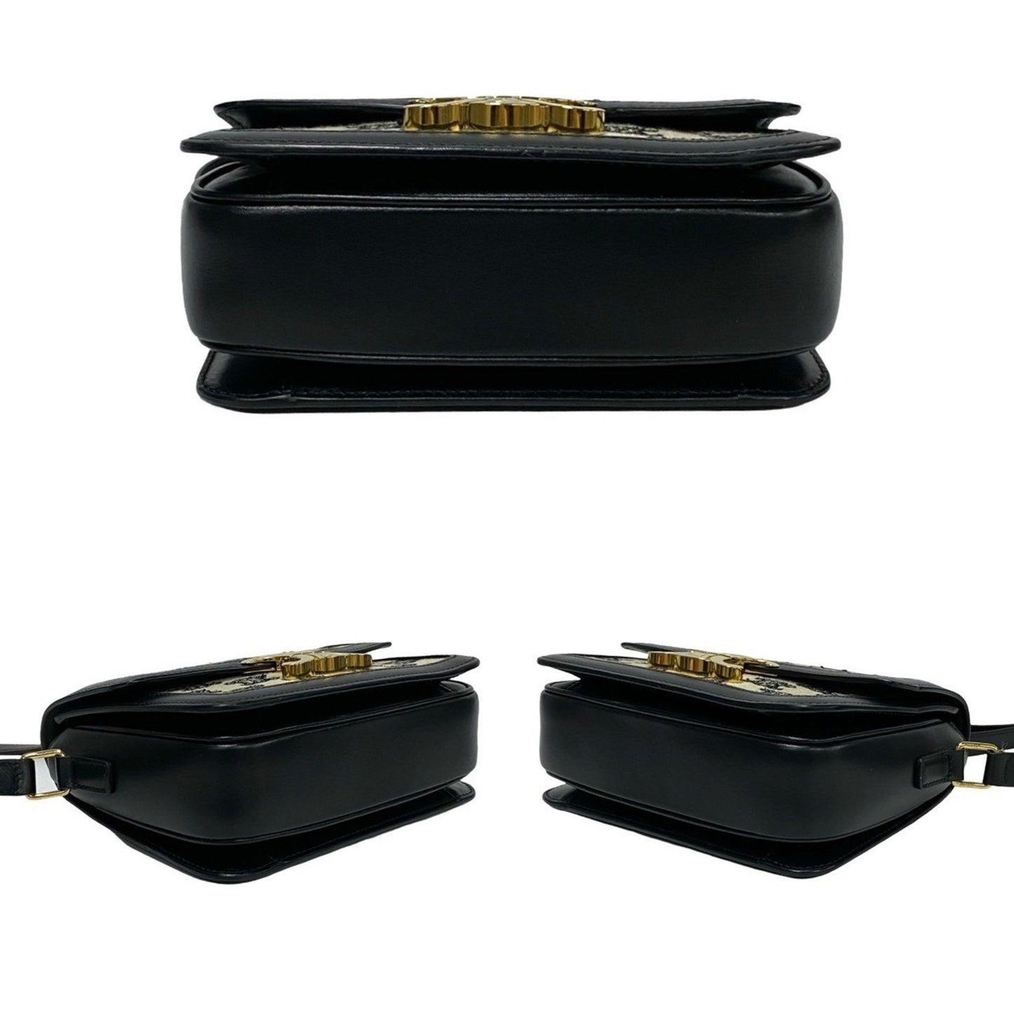 Celine Teen Triomphe Logo Metal Canvas
