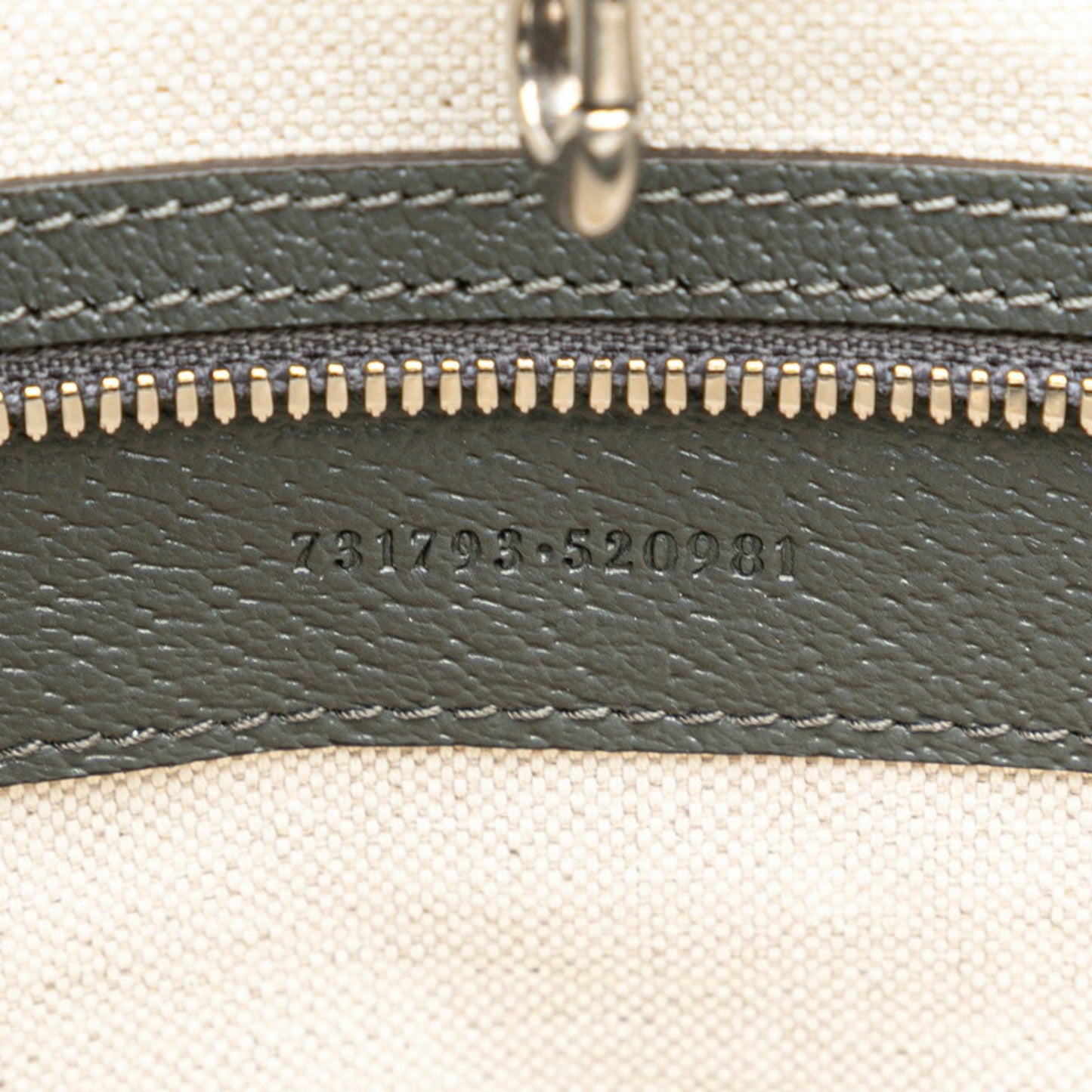 Gucci Gg Supreme Ophidia Medium Handbag Shoulder Bag 731793 Grey Pvc Leather