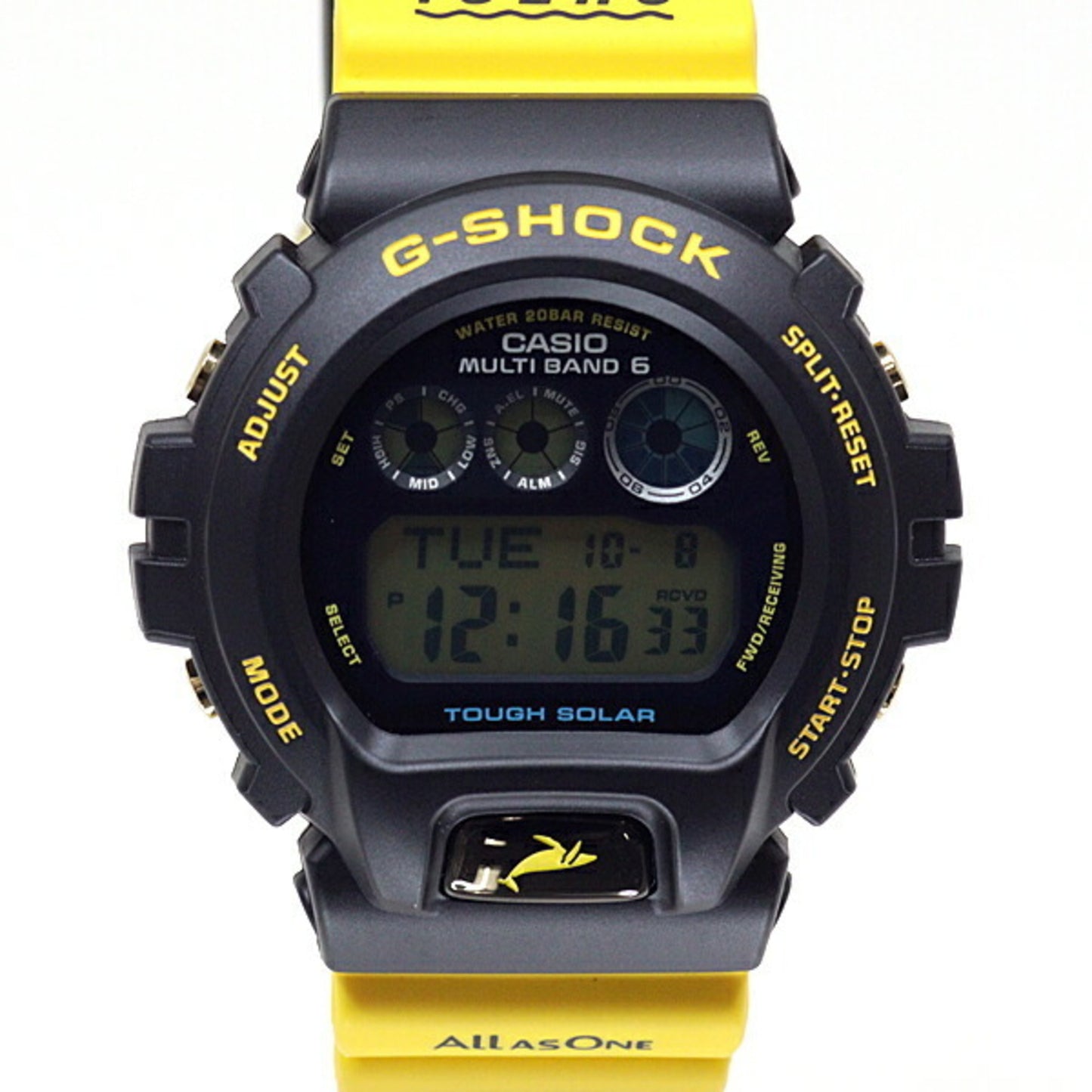 Casio Casio
