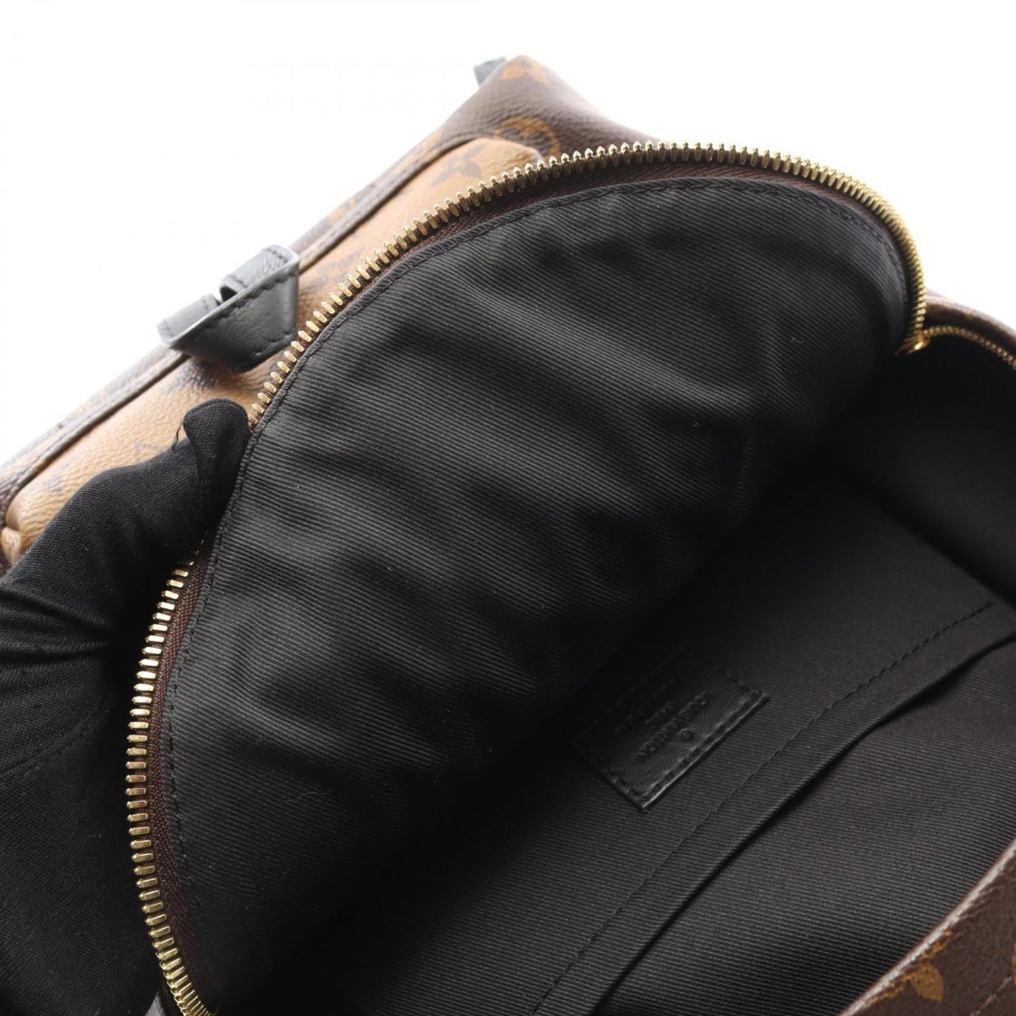 Louis Vuitton Palm Springs Backpack Pm