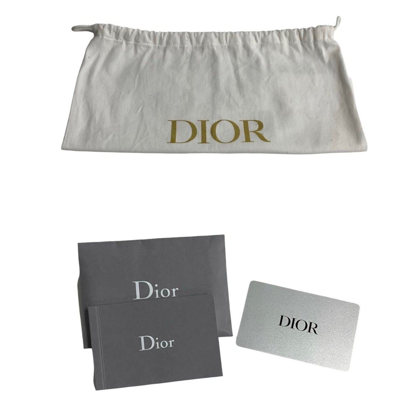 Christian Dior Lady Dee-Lite Mini Logo 2-Way Shoulder Bag