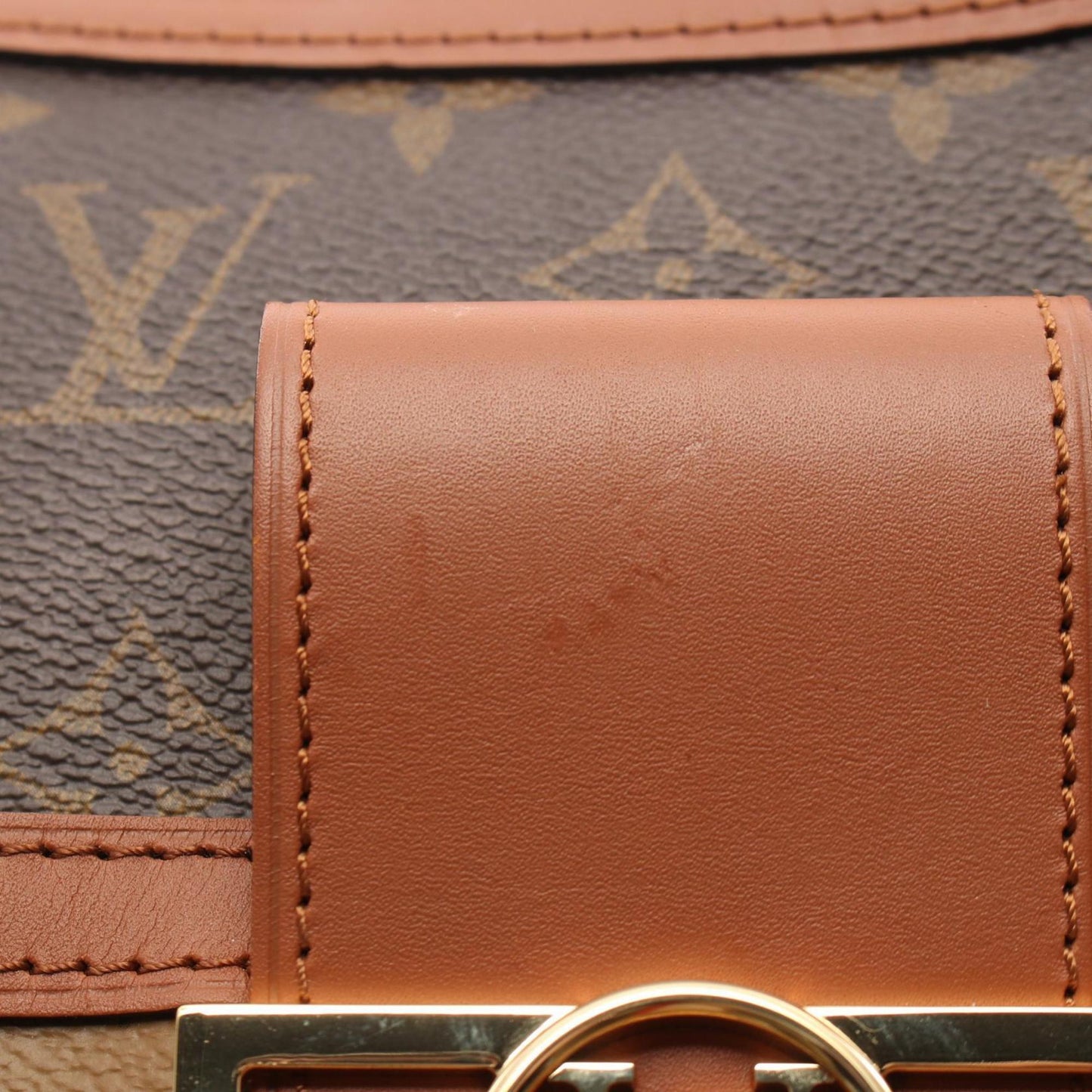 Louis Vuitton Hobo Dauphine Mm Shoulder Bag Coated Canvas Leather Monogram Reverse