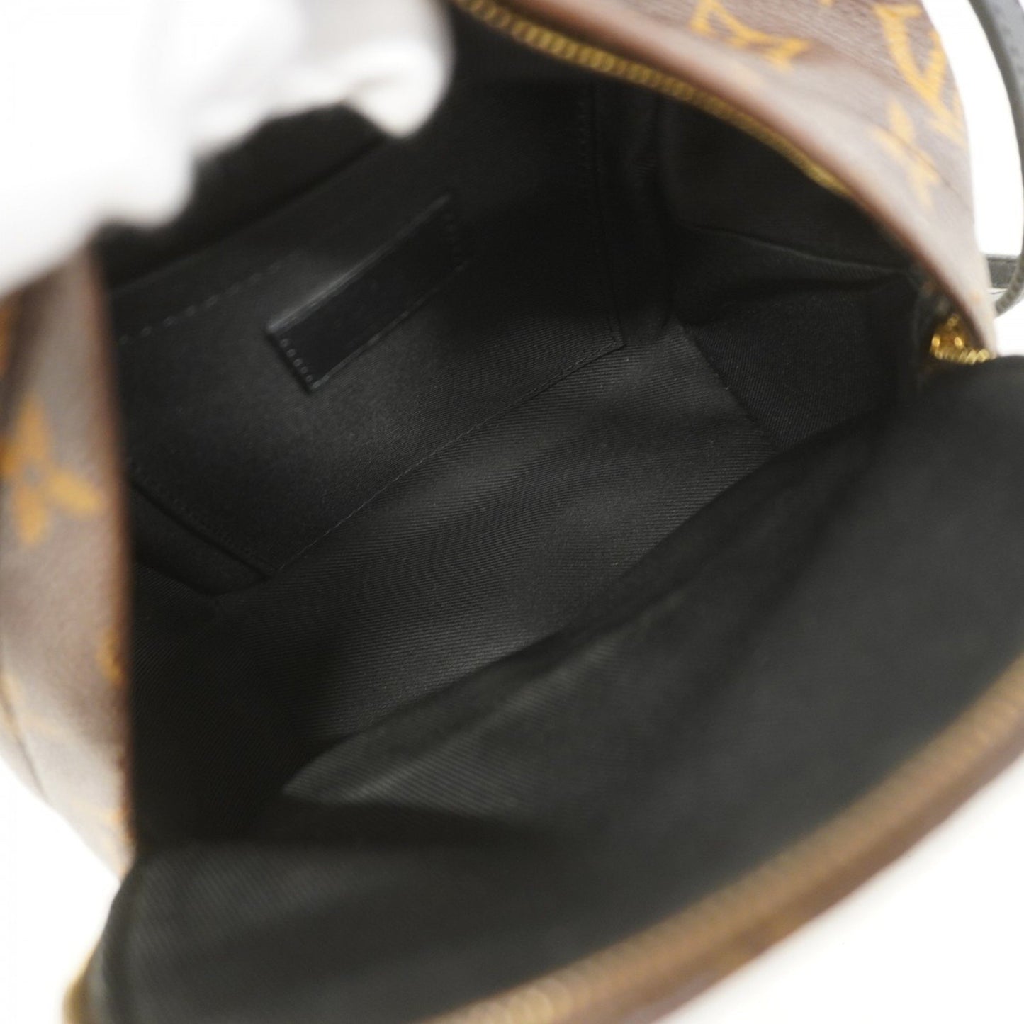 Louis Vuitton Monogram Palm Springs Mini Backpack M44873 Brown