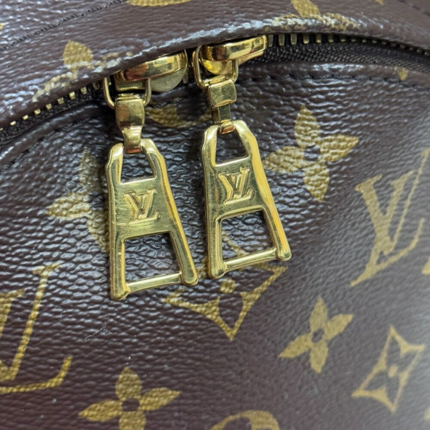 Louis Vuitton Palm Springs Pm Monogram Reverse Backpack/Daypack Canvas M44870