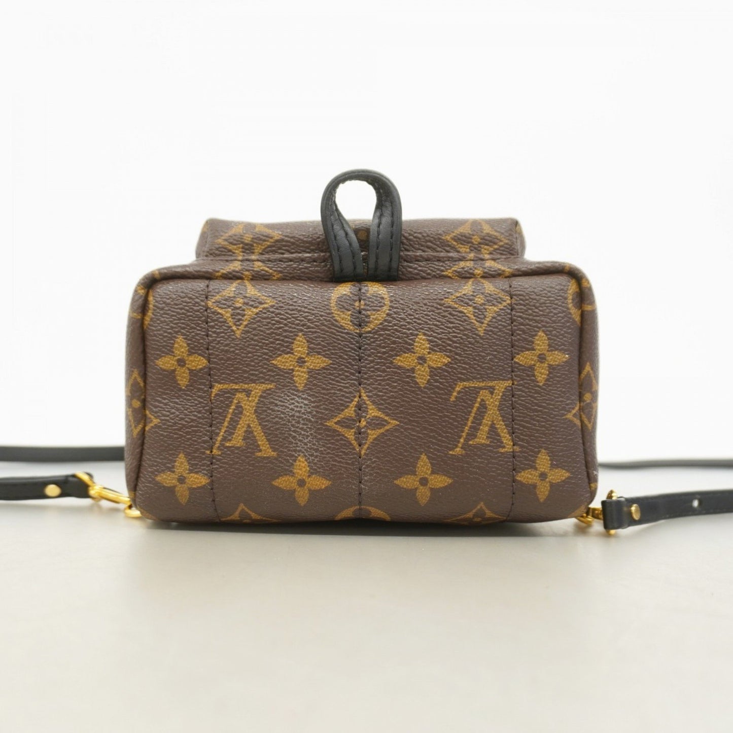 Louis Vuitton Monogram Palm Springs Mini Backpack M44873 Brown