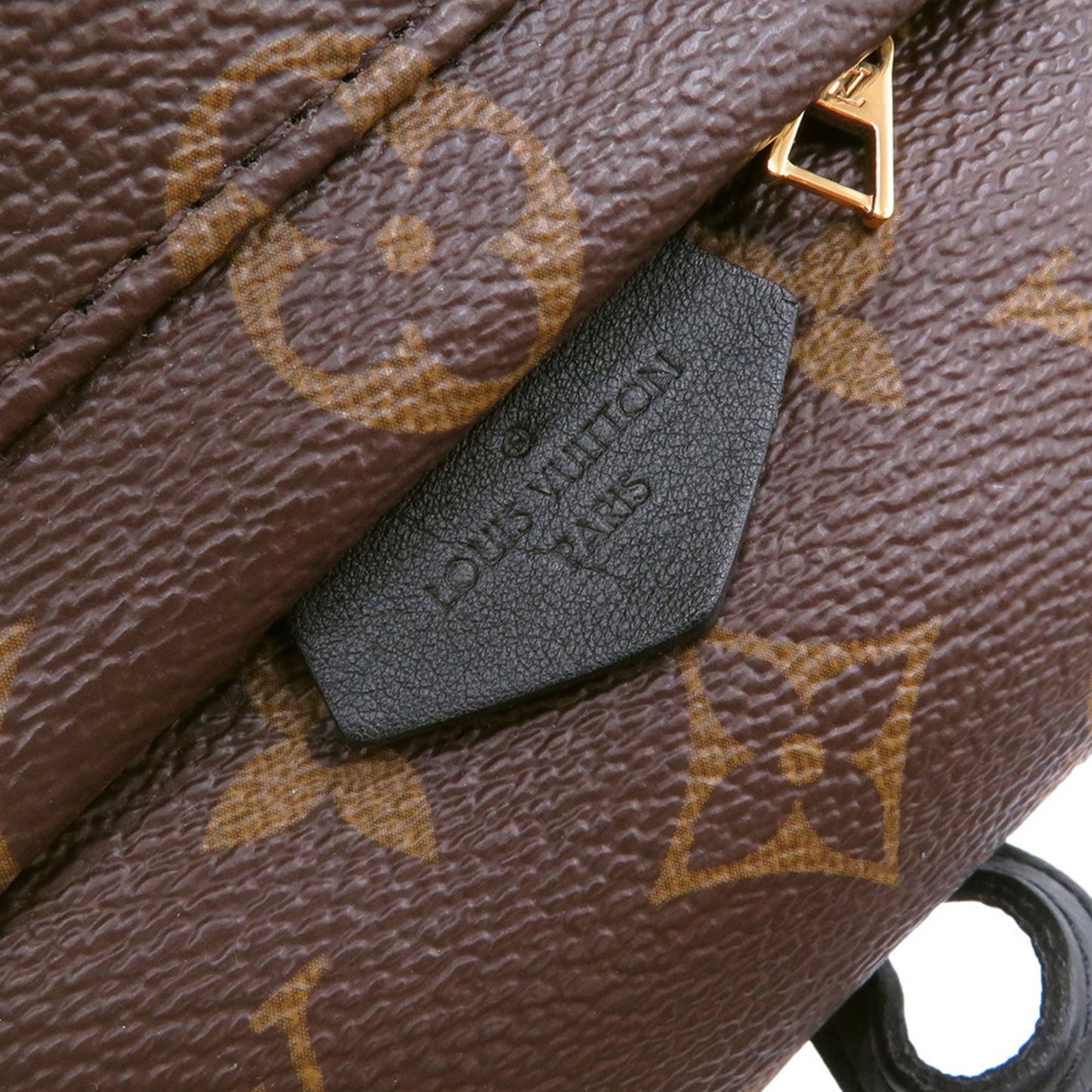 Louis Vuitton Monogram Palm Springs Backpack Mini M44873 Louis Vuitton