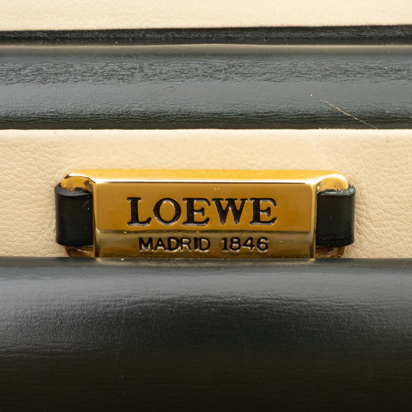 Loewe Vanity Bag Leather Green
