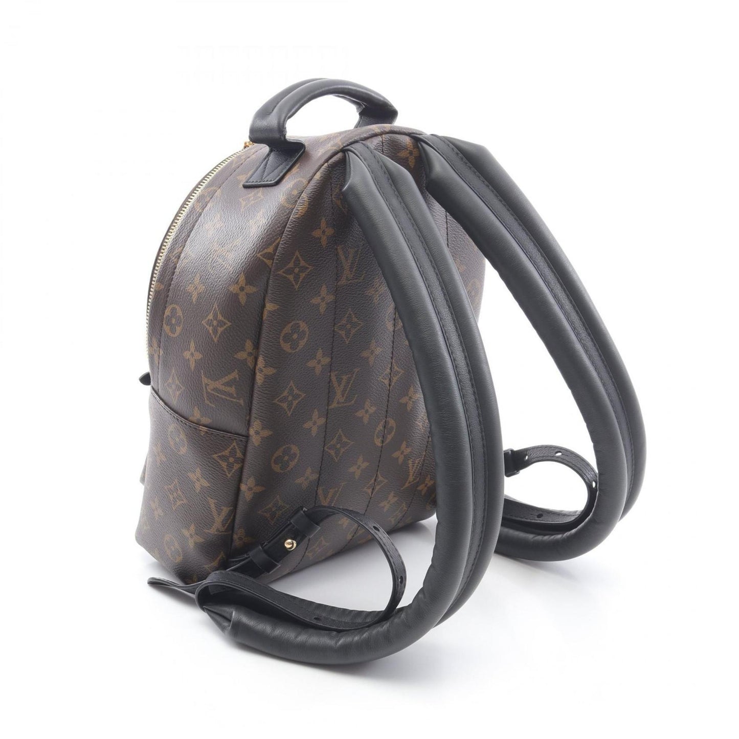 Louis Vuitton Palm Springs Backpack Pm
