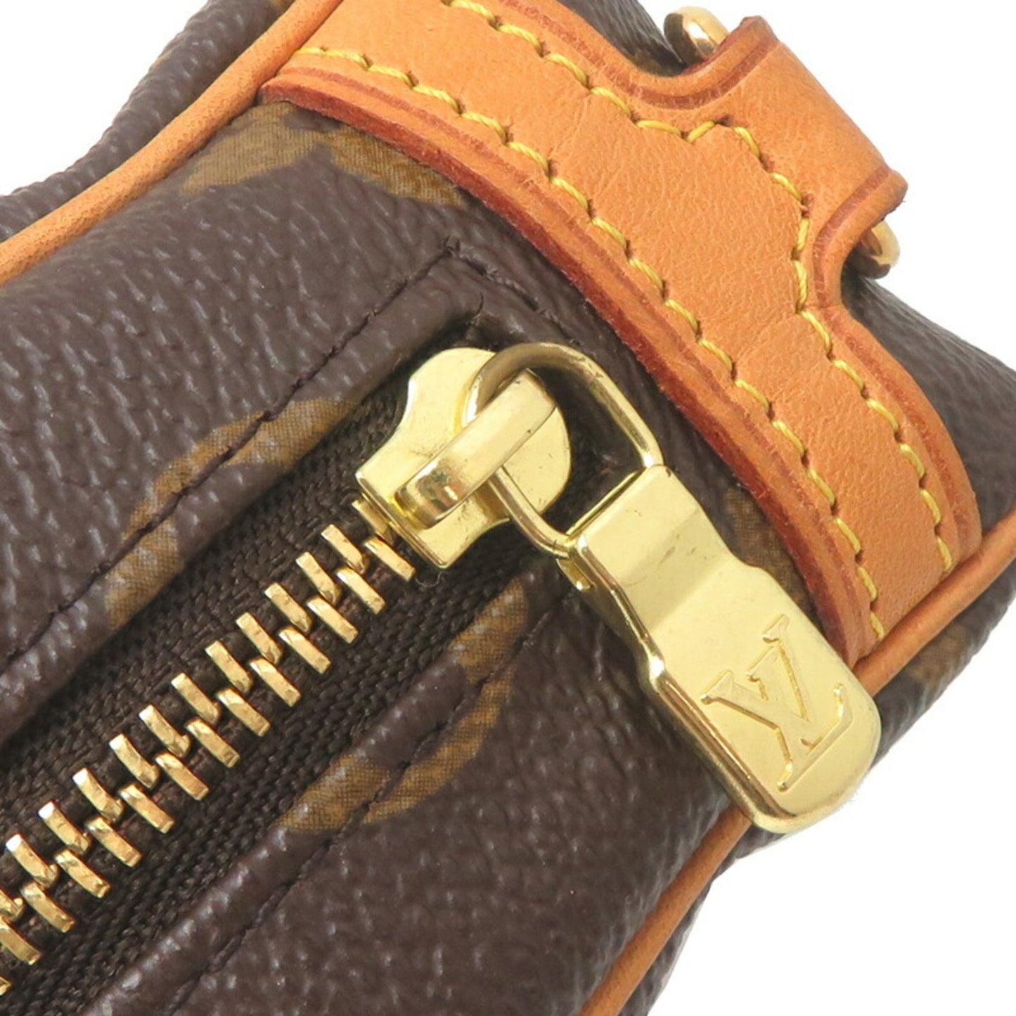 Louis Vuitton Truth Wapiti