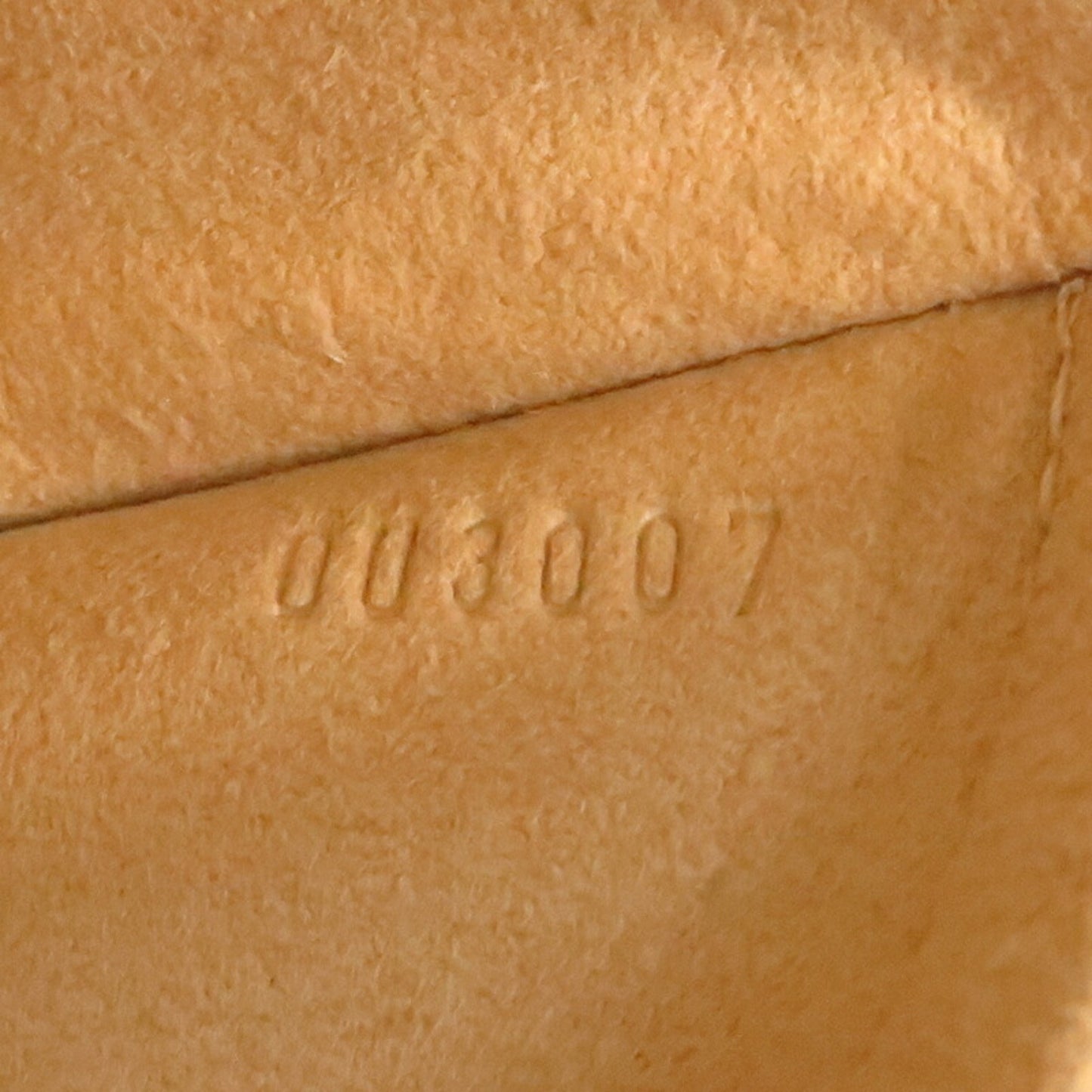 Louis Vuitton Hudson Pm