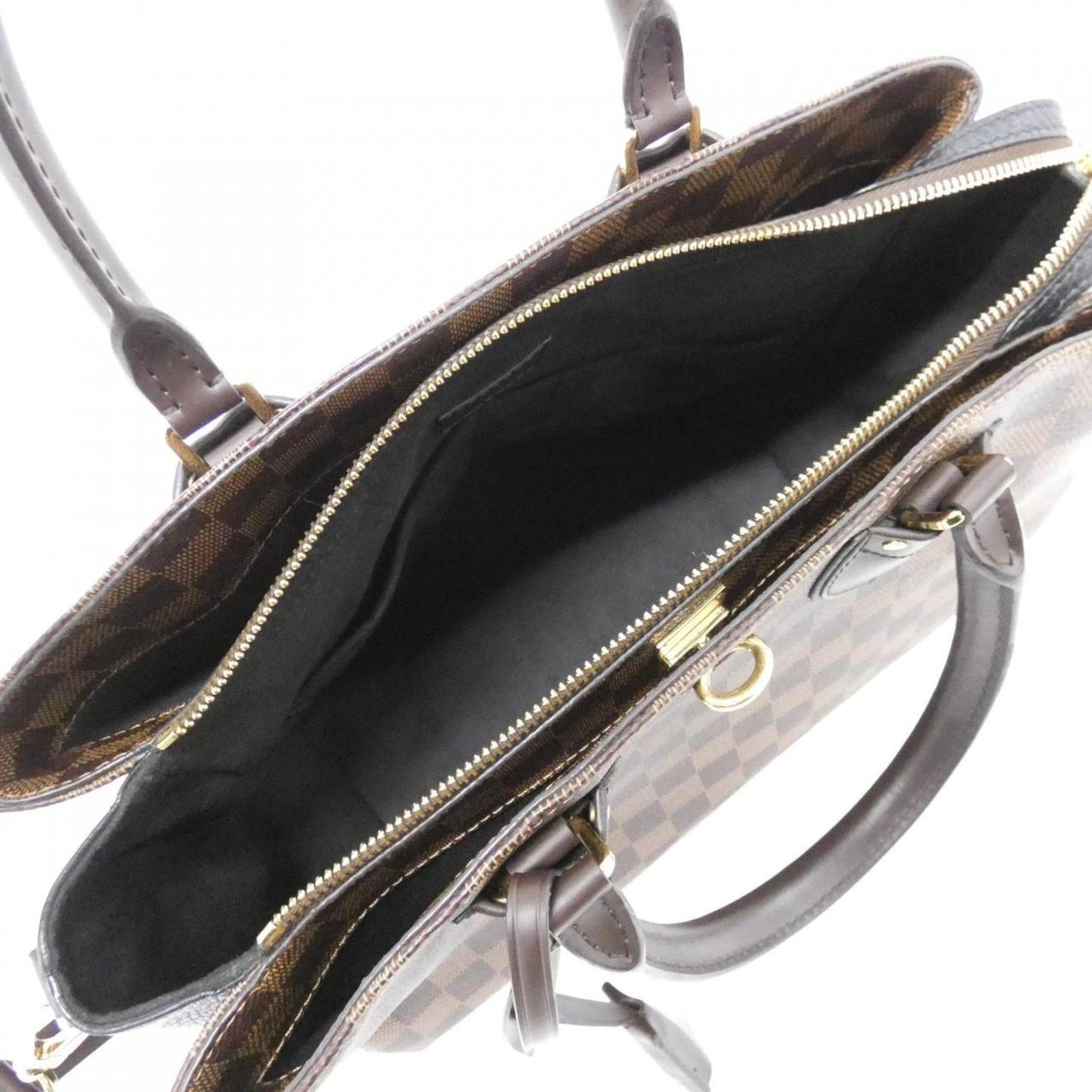 Canvas Louis Vuitton Handbag Coated