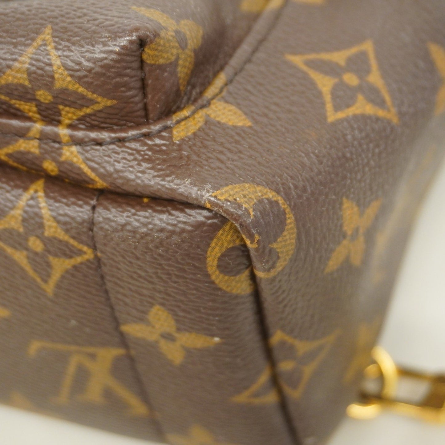 Louis Vuitton Monogram Palm Springs Mini Backpack M44873 Brown