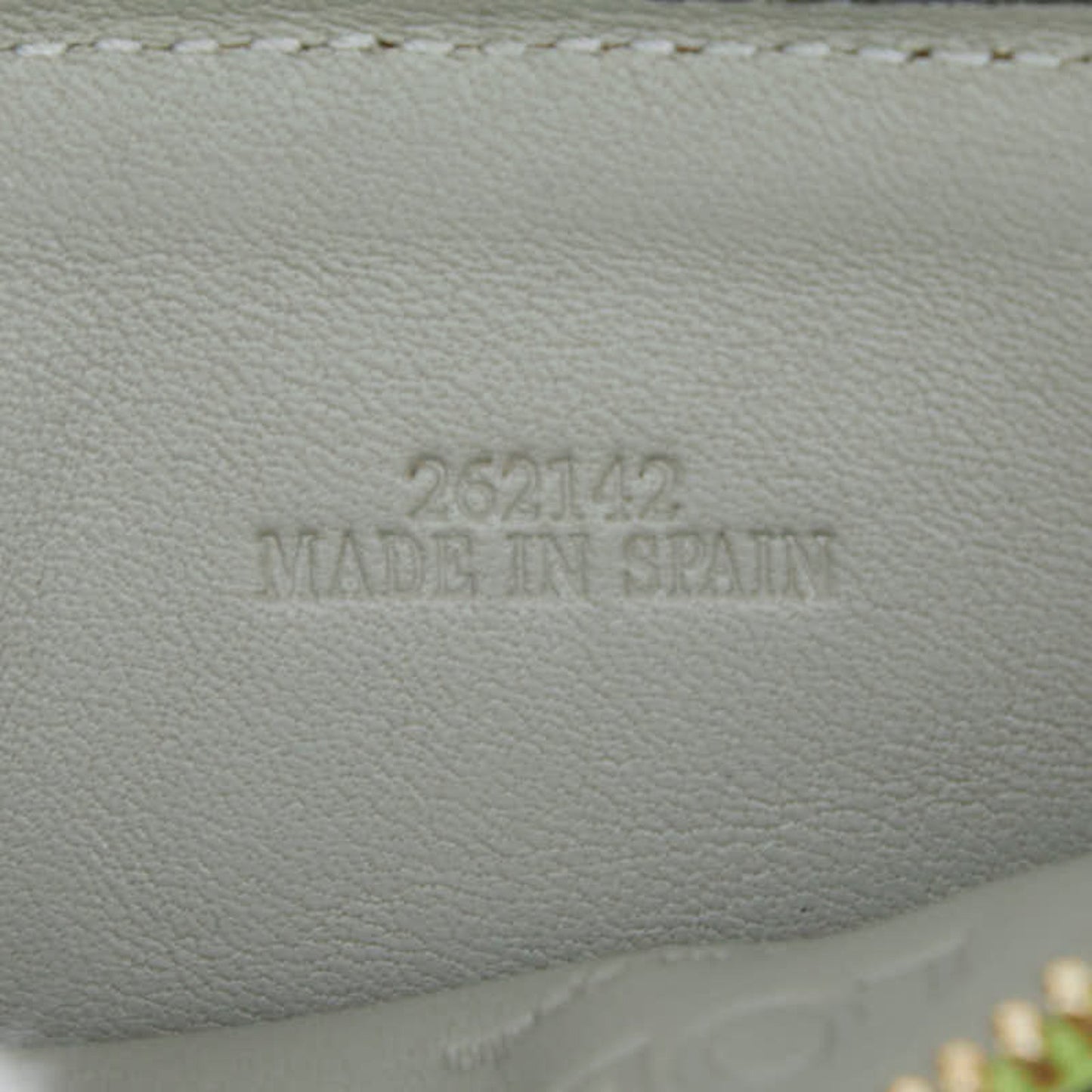 Loewe Anagram Fragment Case