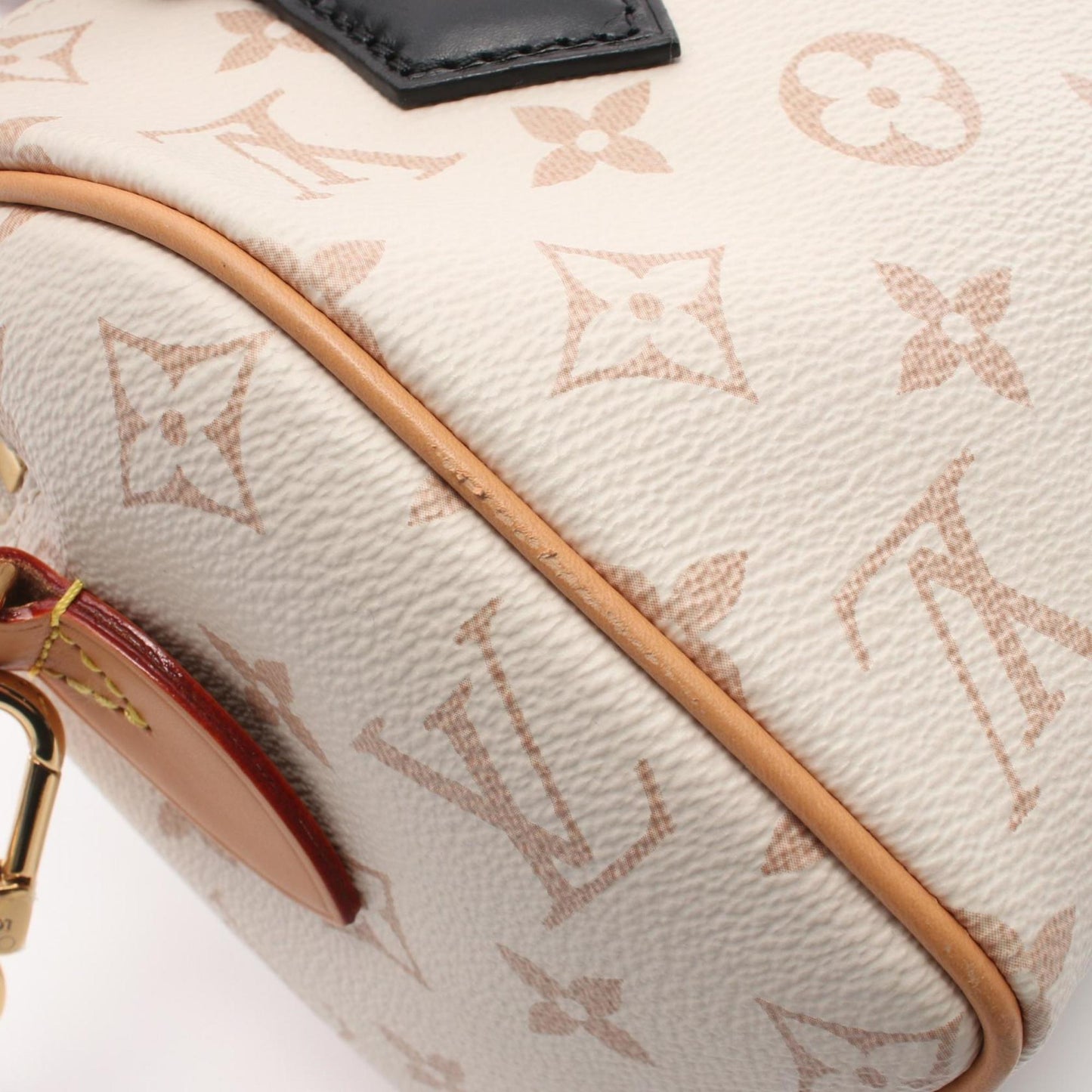Louis Vuitton Speedy Bandouliere 20 Handbag Coated Canvas Leather