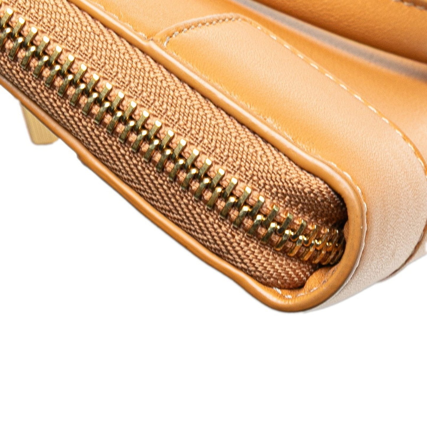 Loewe Amazona Pouch