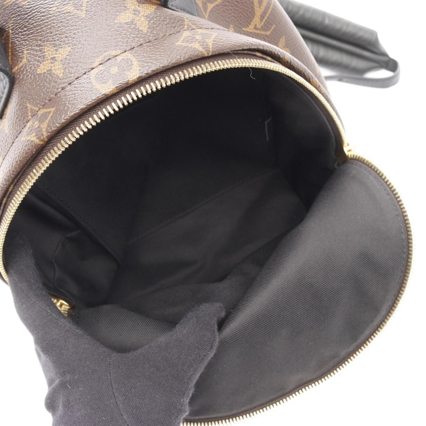 Louis Vuitton Palm Springs Backpack Pm Rucksack Coated Canvas Leather Monogram