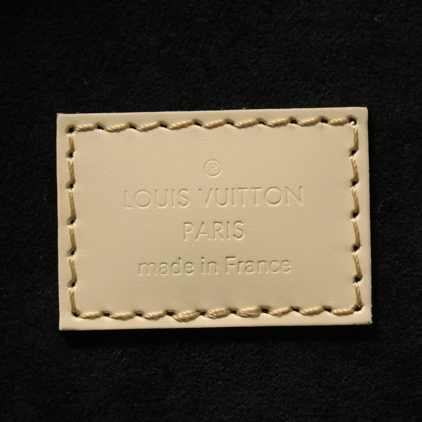 Louis Vuitton Cannes Epi Handbag