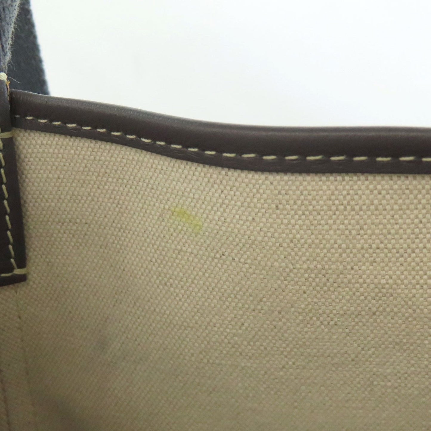 Goyard Capecien Coated Canvas Shoulder Bag