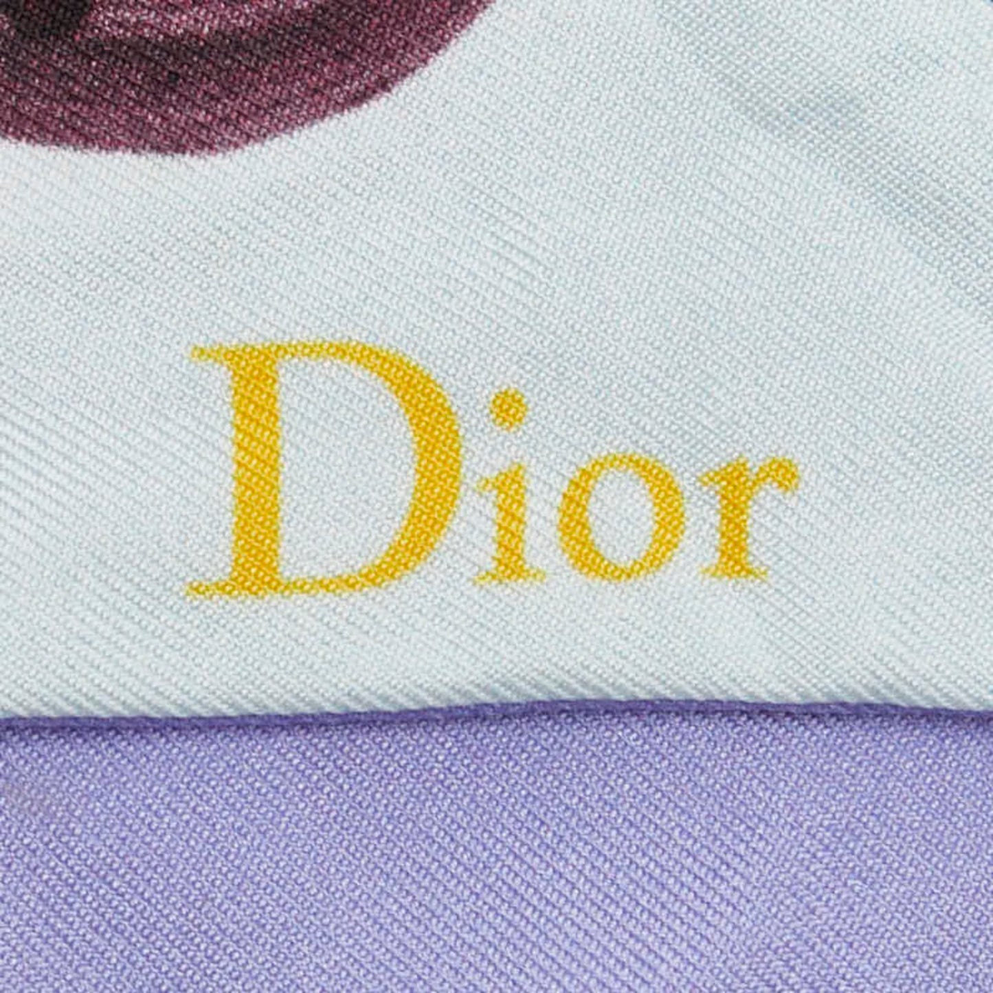 Christian Dior Dior Floral Botanical Print Mitzah Scarf/Muffler In White