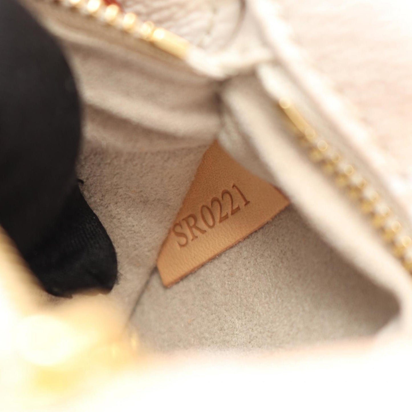 Louis Vuitton Tiny Backpack By The Pool