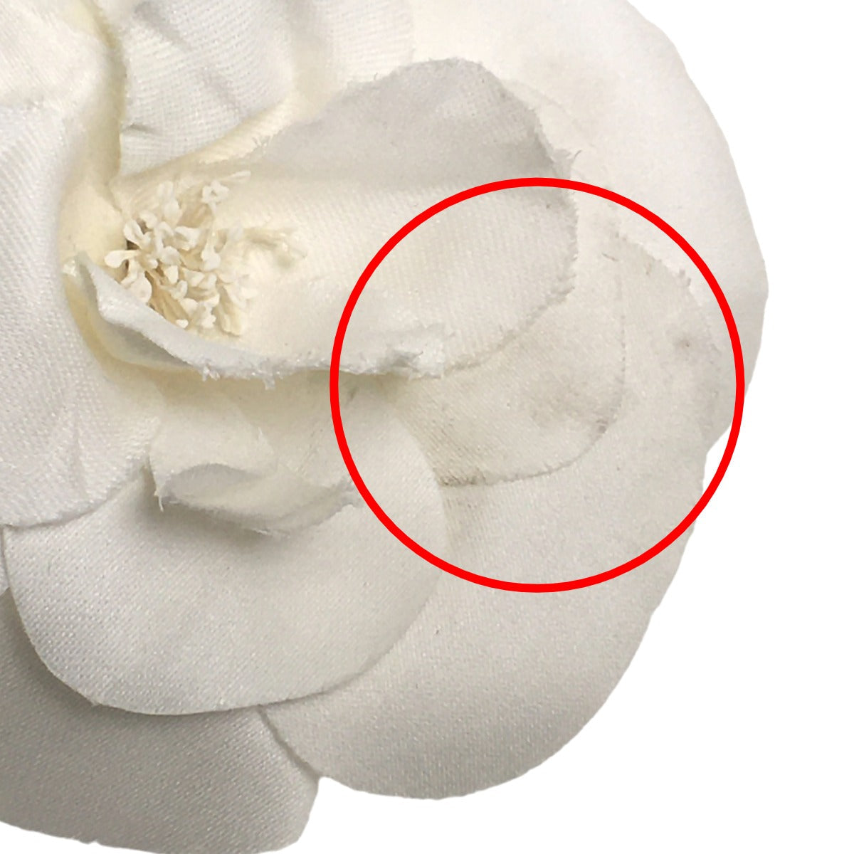 Chanel Brooch Plastic White Camelia With Box Corsage Women