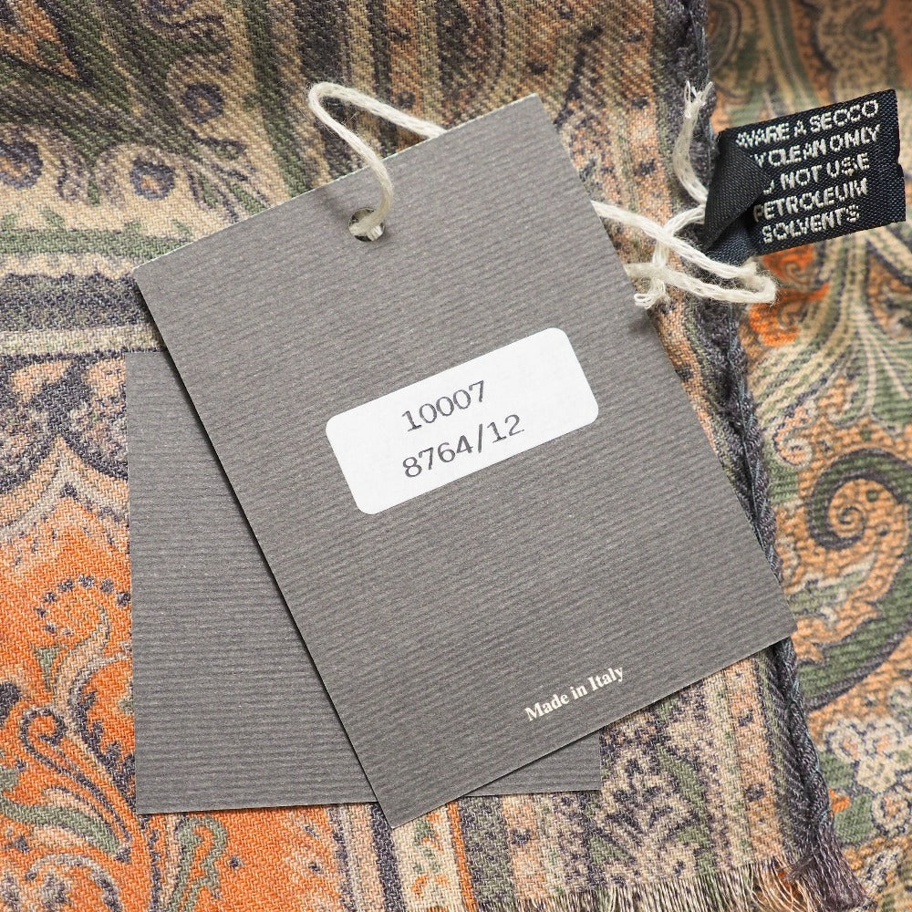 Etro Stall Wool 70% Silk 30% Green Beige Navy Brown Type Women