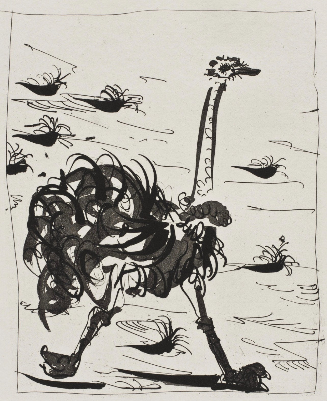 Pablo Picasso, L'Autruche, Histoire Naturelle, Lithograph
