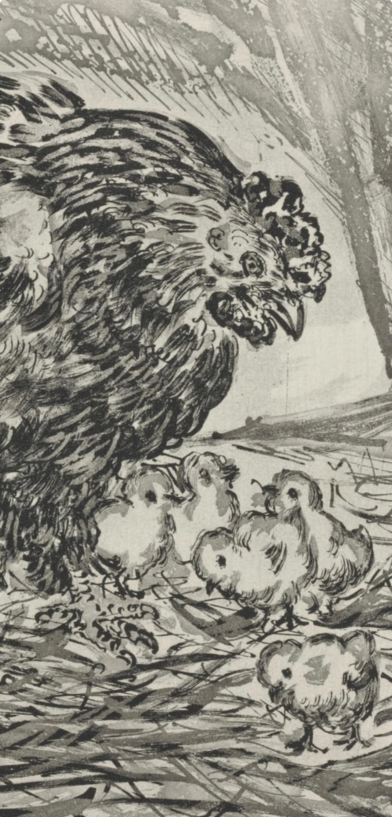 Pablo Picasso, La Mre Poule, Histoire Naturelle, Lithograph