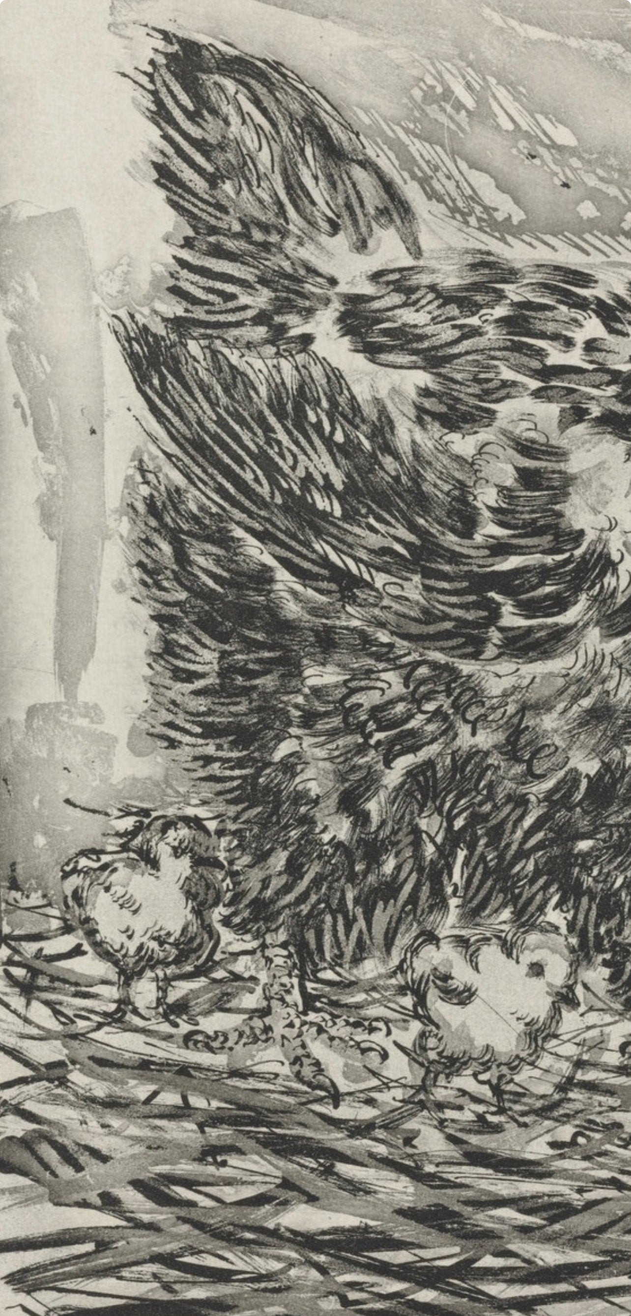 Pablo Picasso, La Mre Poule, Histoire Naturelle, Lithograph