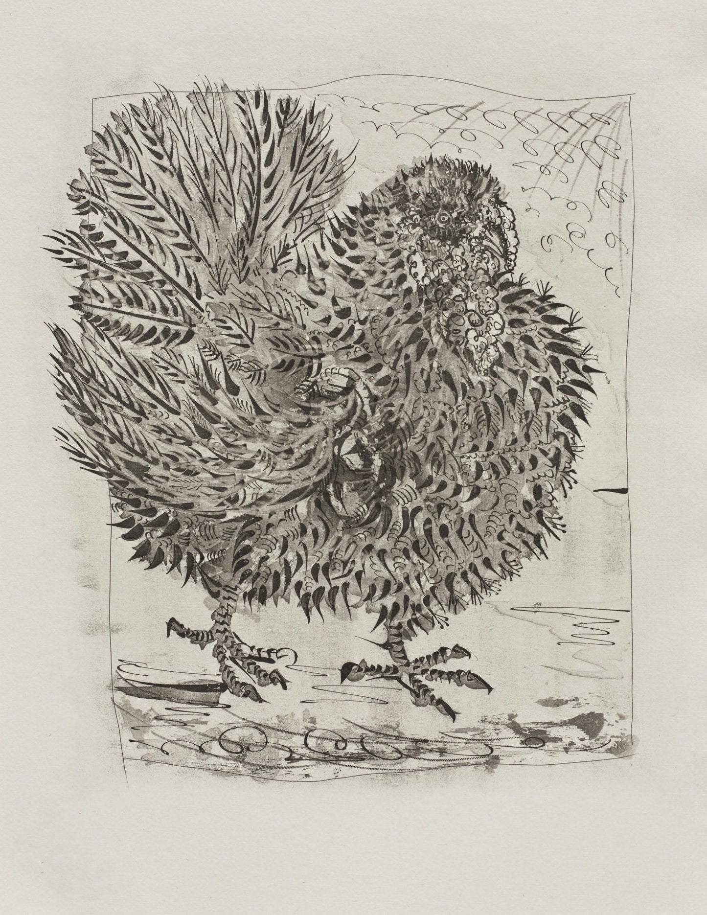Pablo Picasso, Le Dindon, Histoire Naturelle, Lithograph