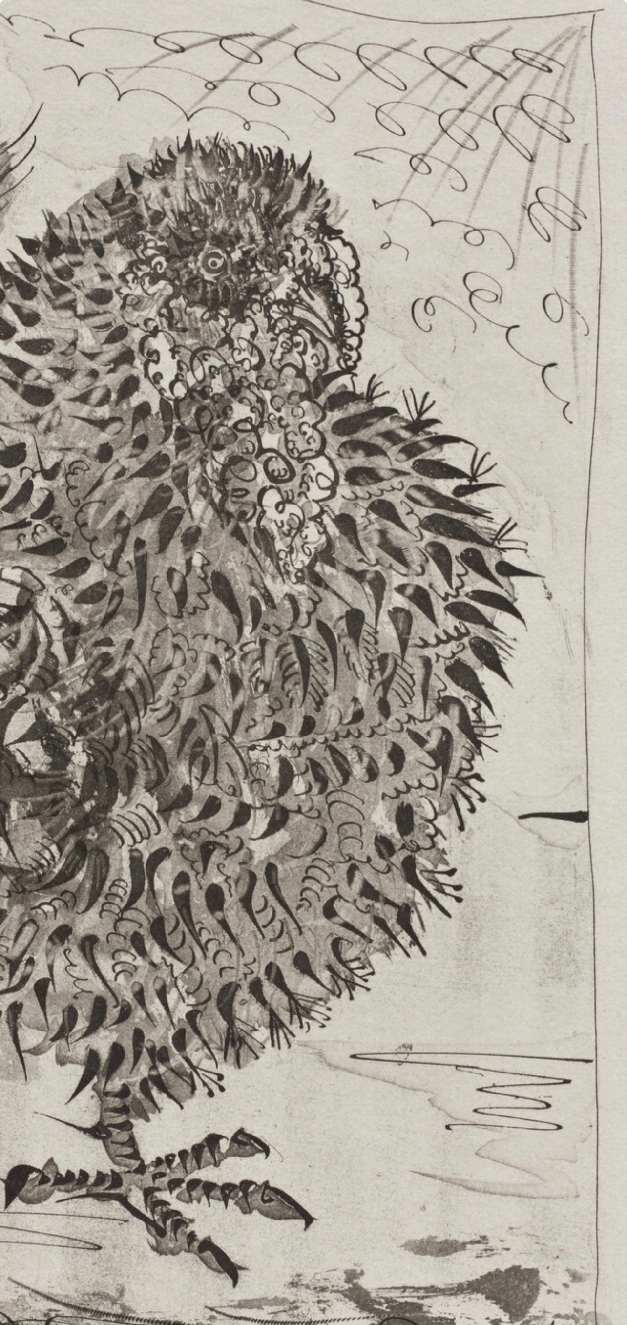 Pablo Picasso, Le Dindon, Histoire Naturelle, Lithograph
