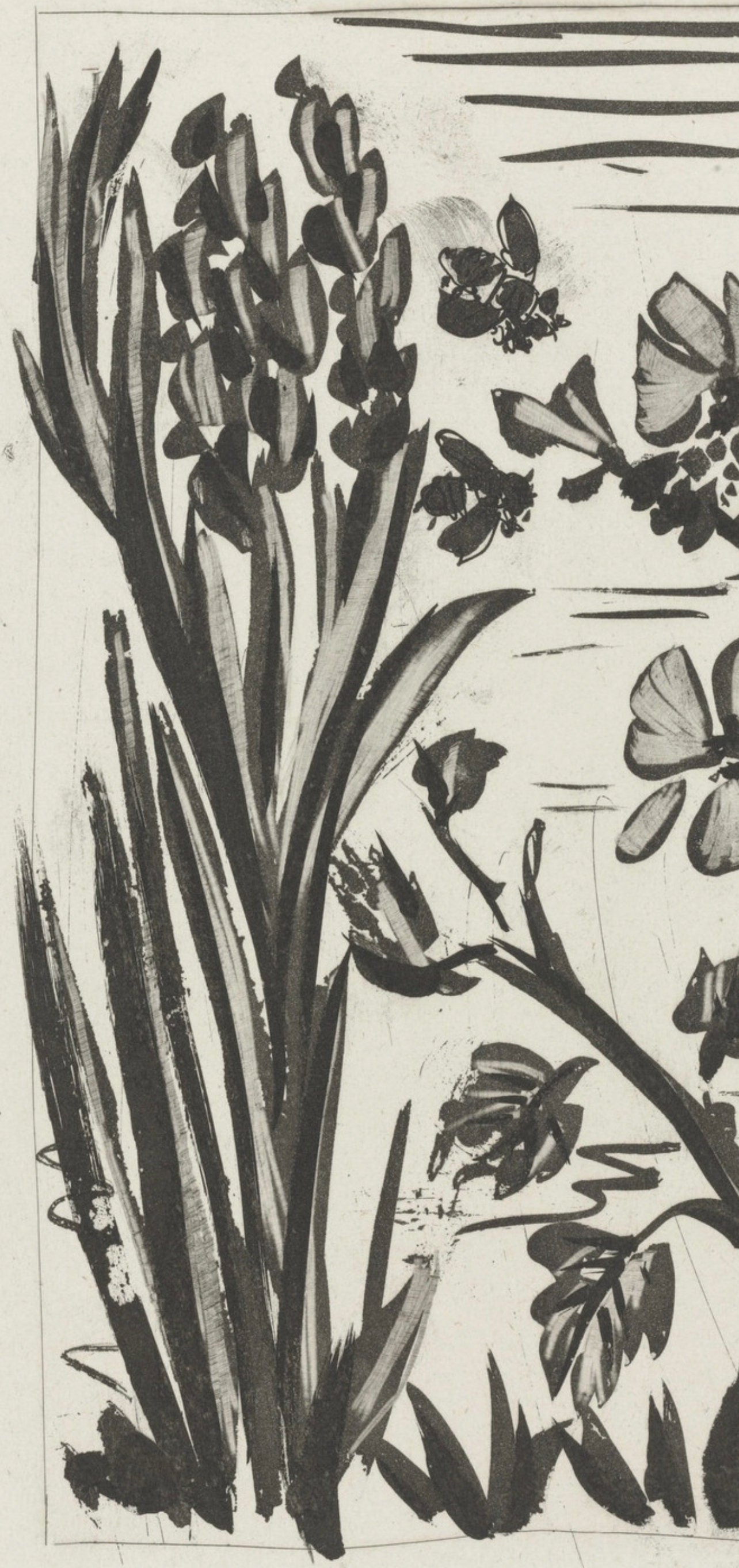 Pablo Picasso, L'Abeille, Histoire Naturelle, Lithograph