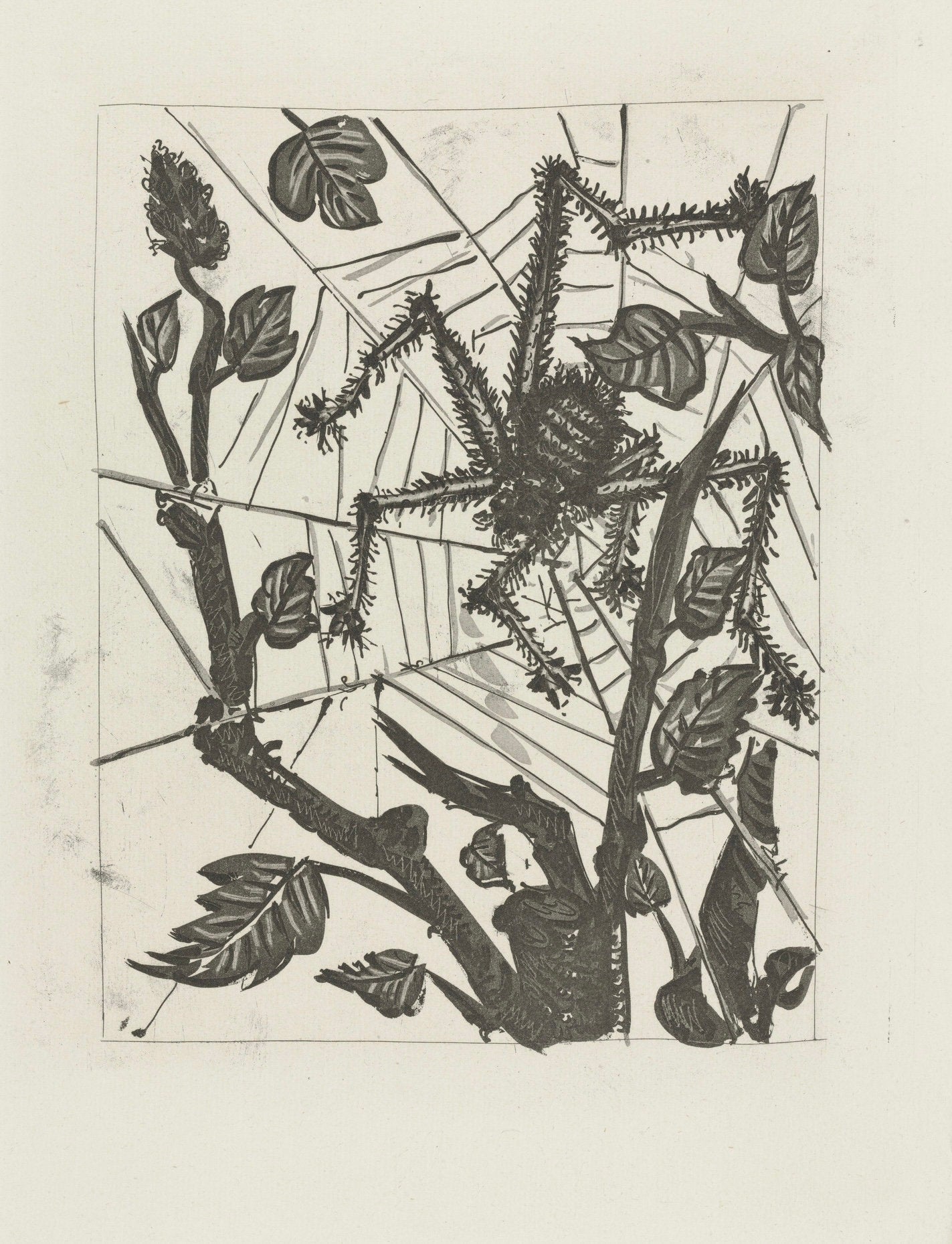 Pablo Picasso, L'Araigne, Histoire Naturelle, Lithograph